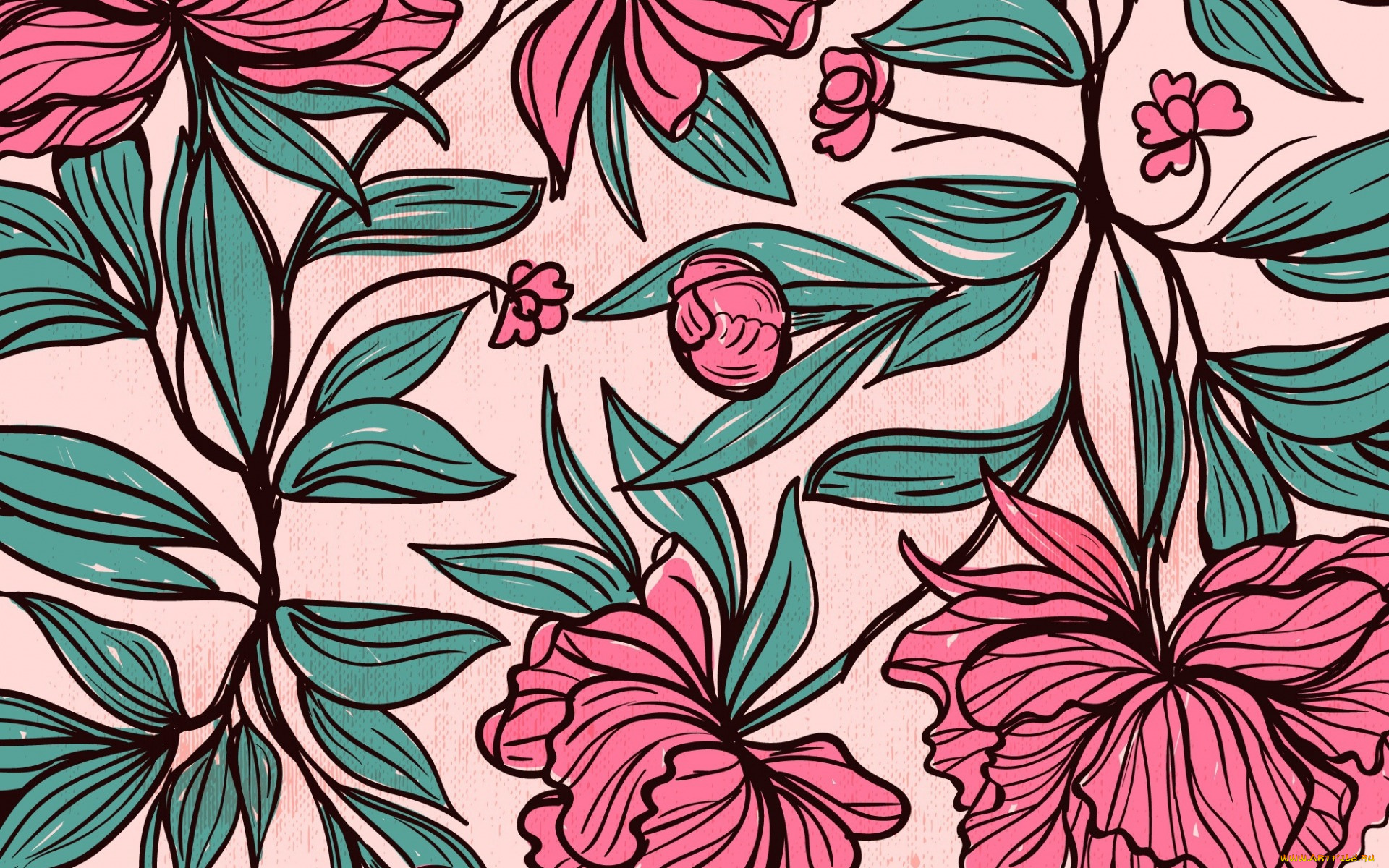 векторная, графика, цветы, , flowers, lowers, background, leaves