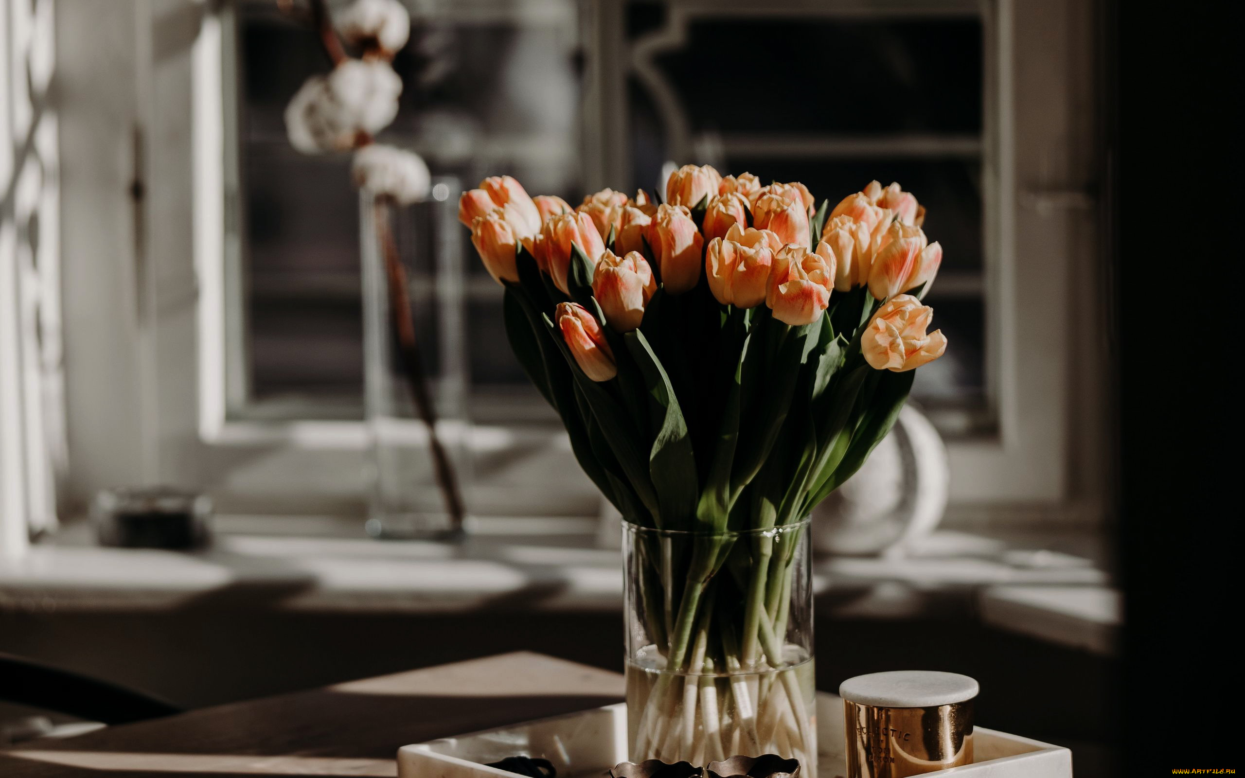 цветы, тюльпаны, букет, бутоны