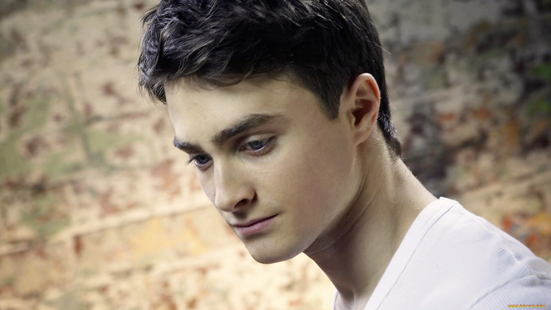мужчины, daniel, radcliffe, актер, лицо, стена