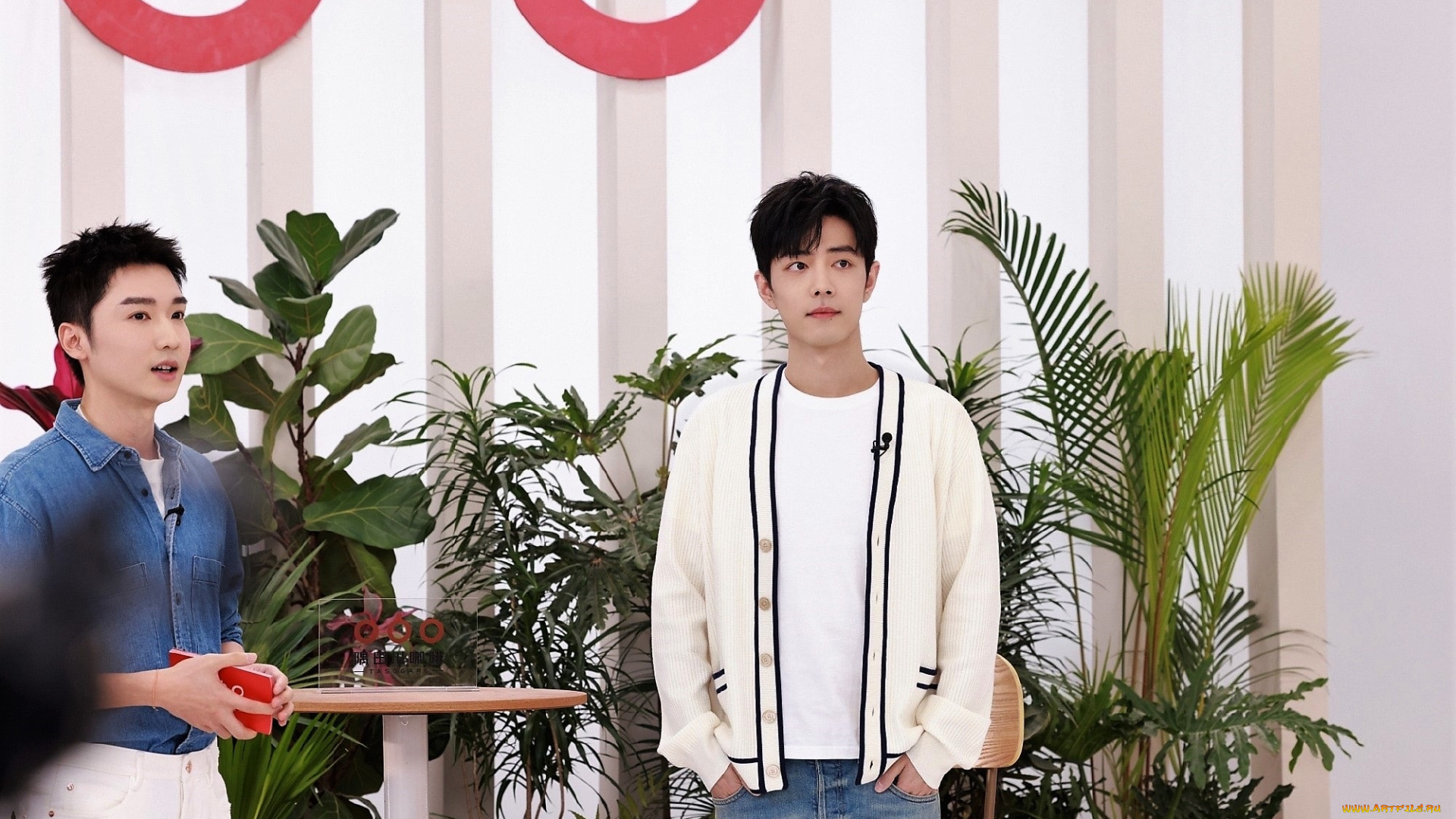 разное, знаменитости, сяо, чжань, растения