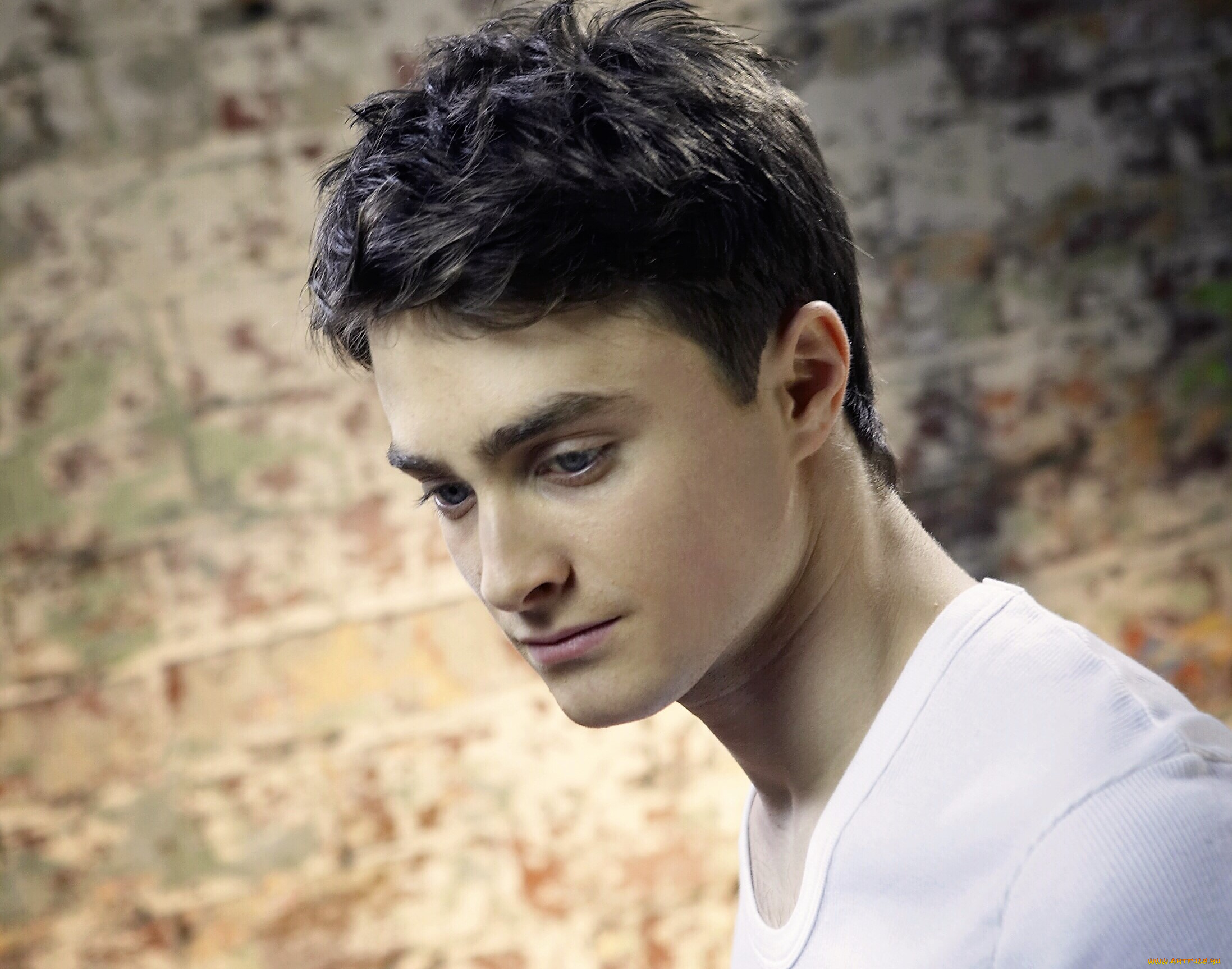 мужчины, daniel, radcliffe, актер, лицо, стена