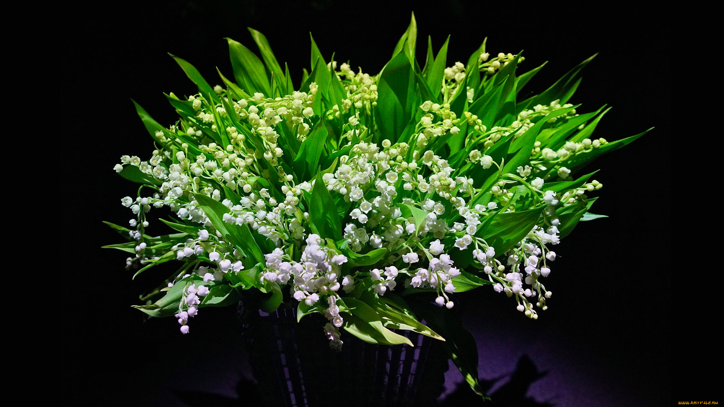 цветы, ландыши, майские, букет