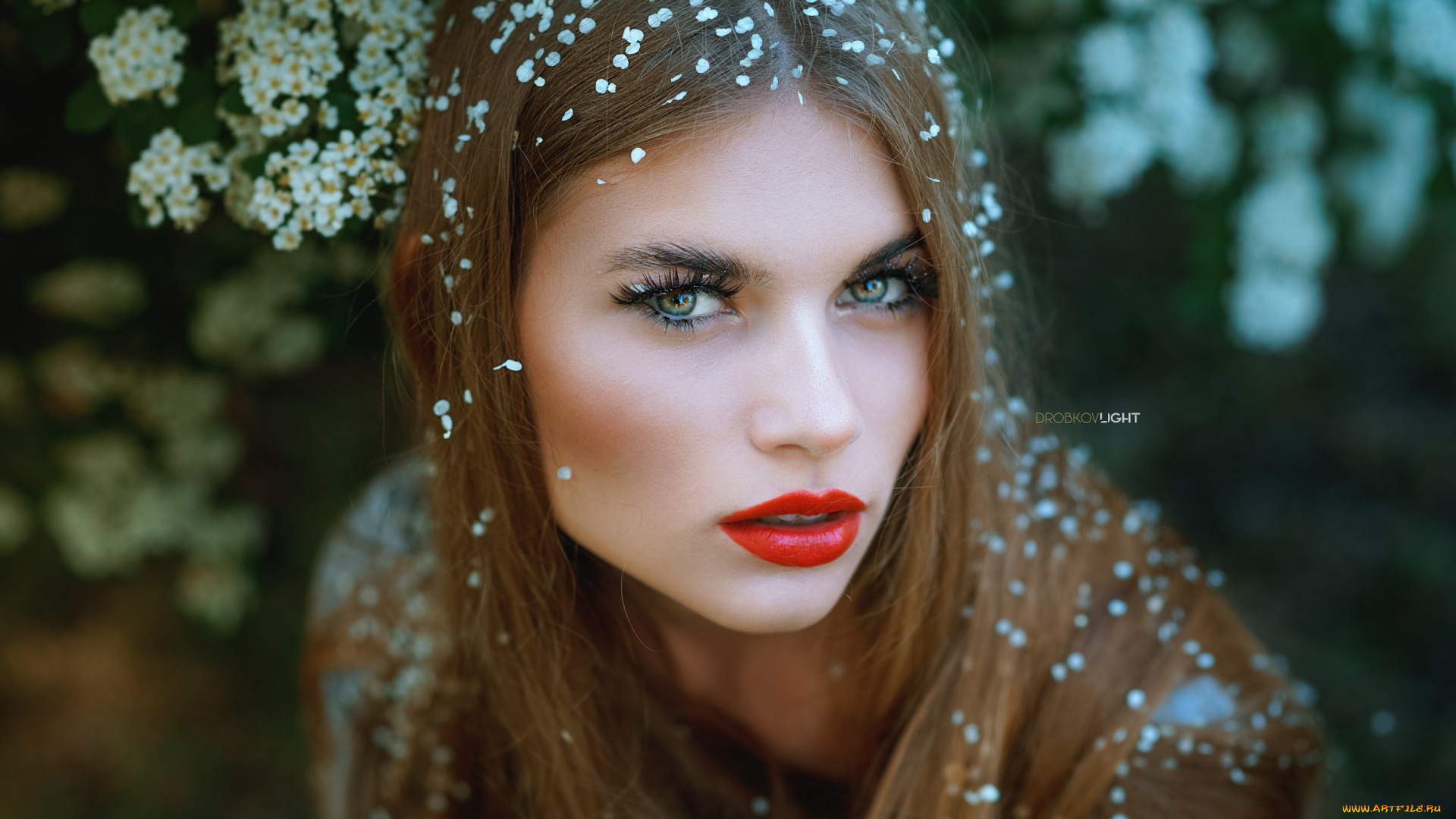 девушки, -, лица, , портреты, девушка