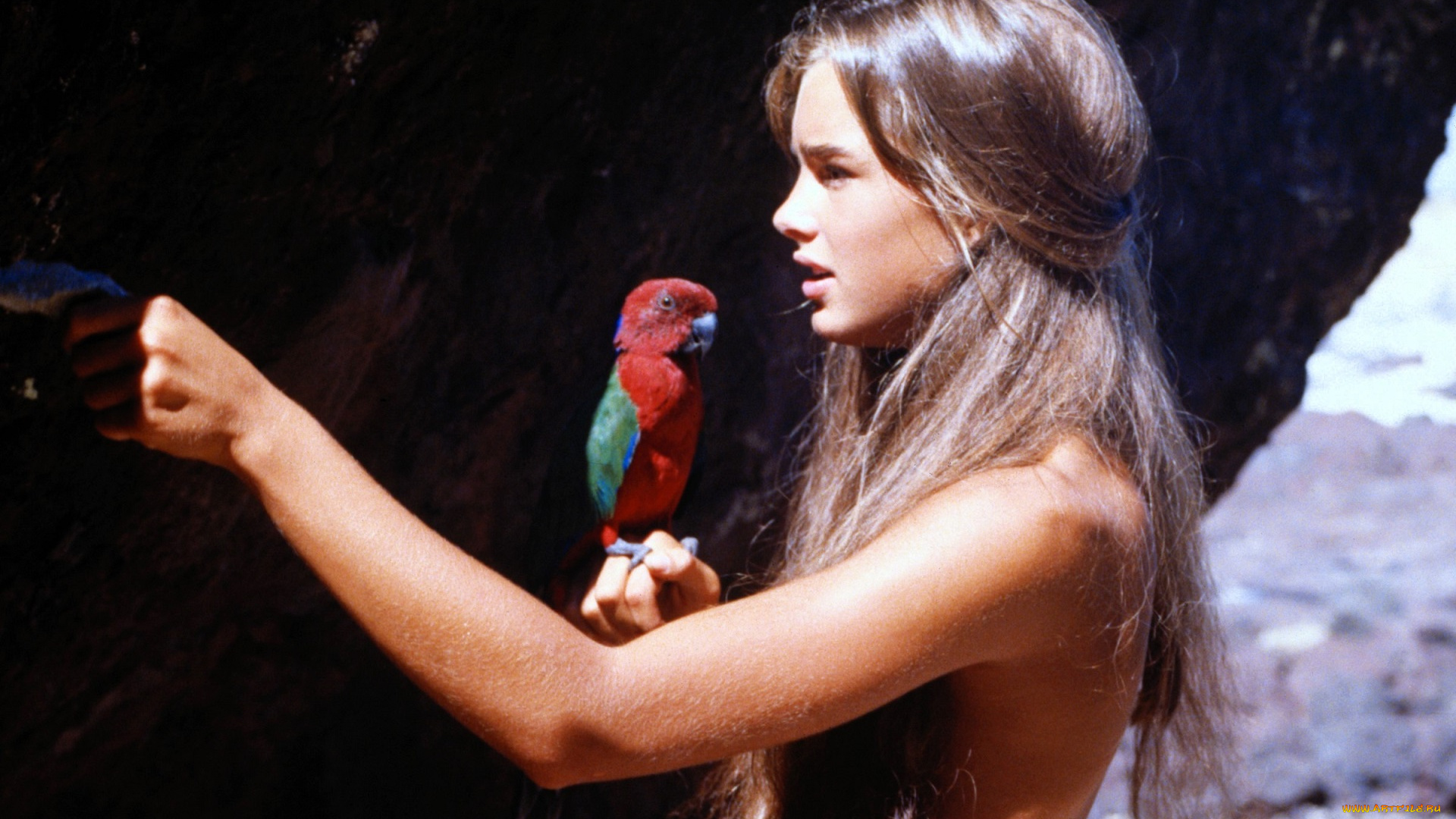 the, blue, lagoon, кино, фильмы, -unknown, , другое, девочка, попугай, скала, море