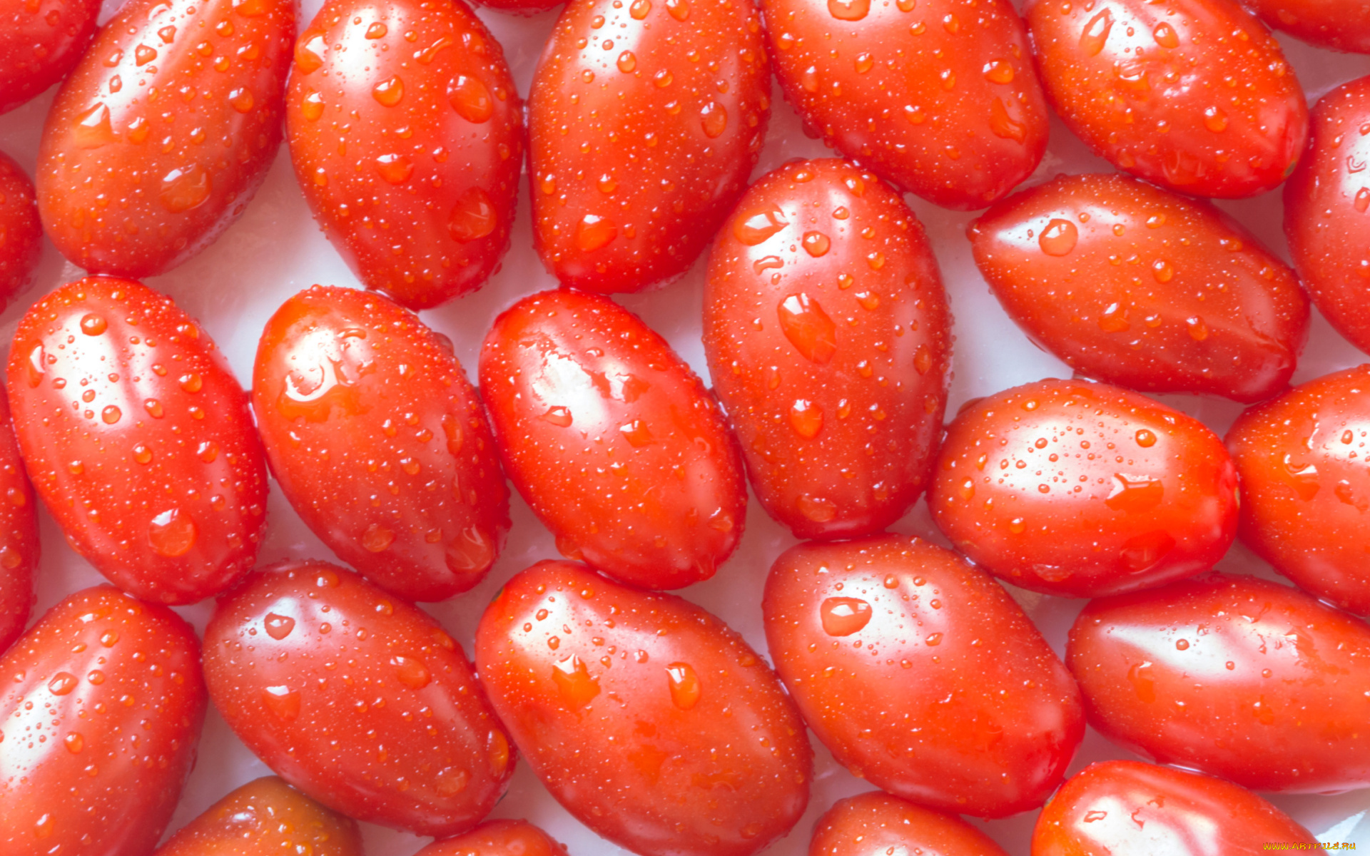 еда, помидоры, капли, сливка