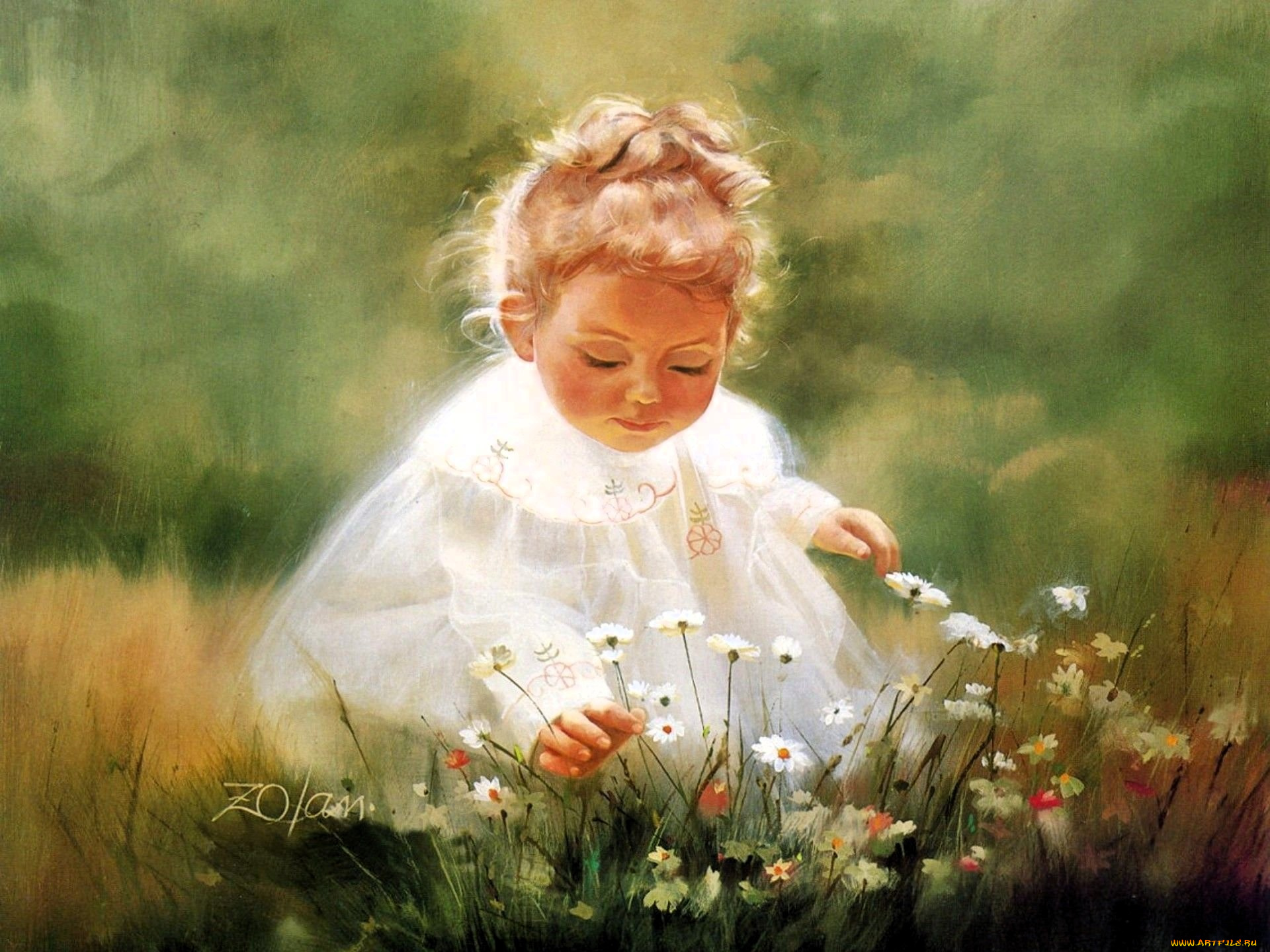 рисованное, donald, zolan, девочка, ребенок, цветы, луг