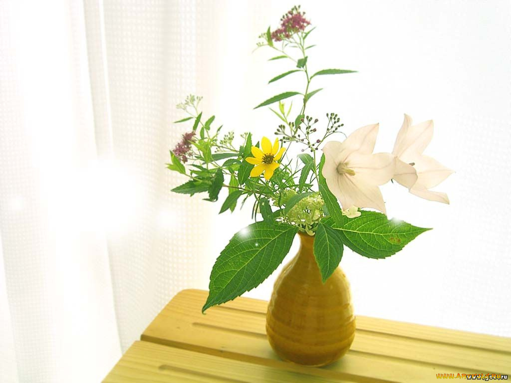 цветы, букеты, композиции