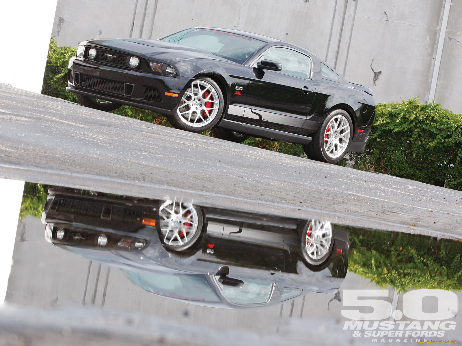 автомобили, mustang