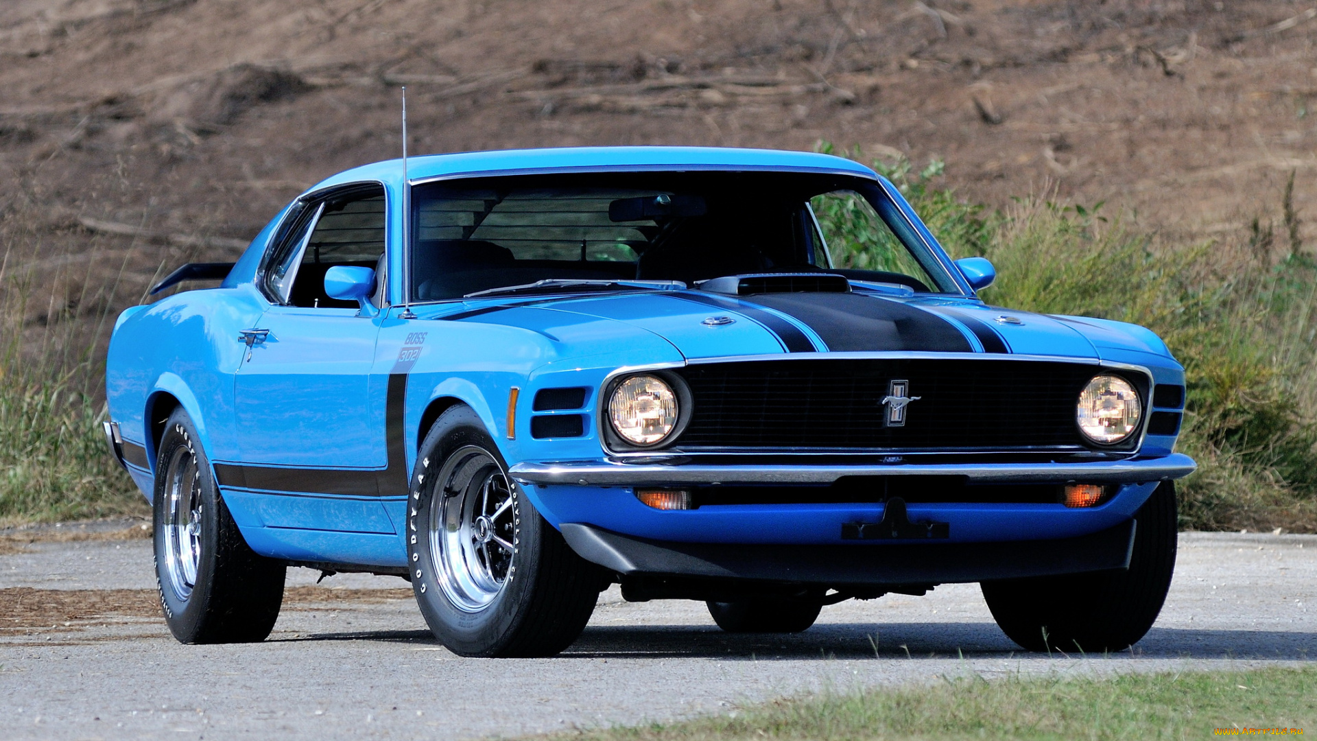 автомобили, mustang