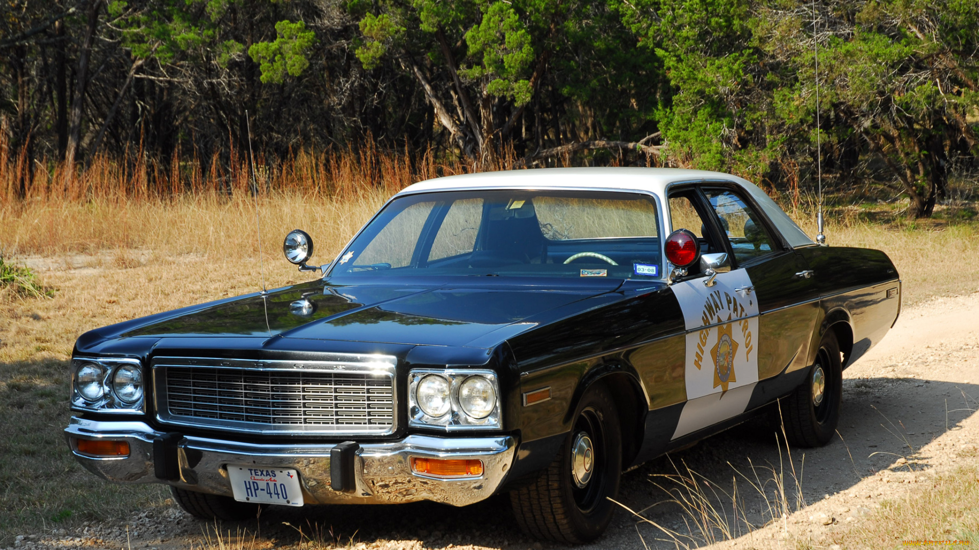 автомобили, полиция, monaco