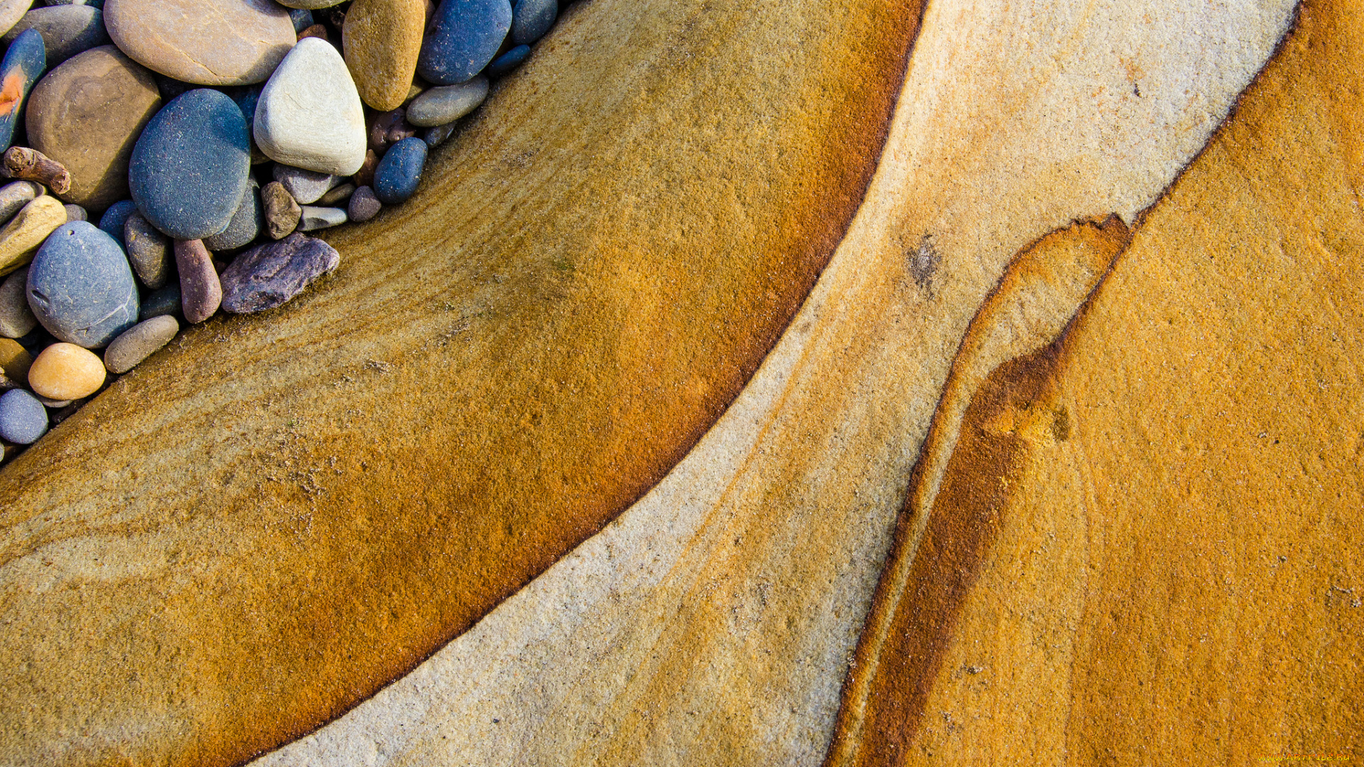 разное, ракушки, , кораллы, , декоративные, и, spa-камни, абстракции, текстуры, макро, камни