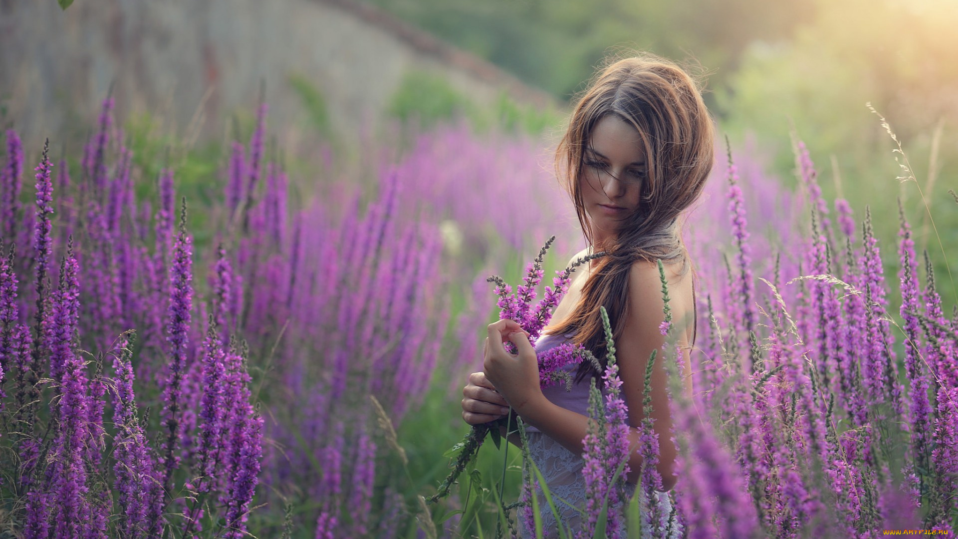 девушки, -unsort, , брюнетки, , шатенки, настроение, луг, цветы