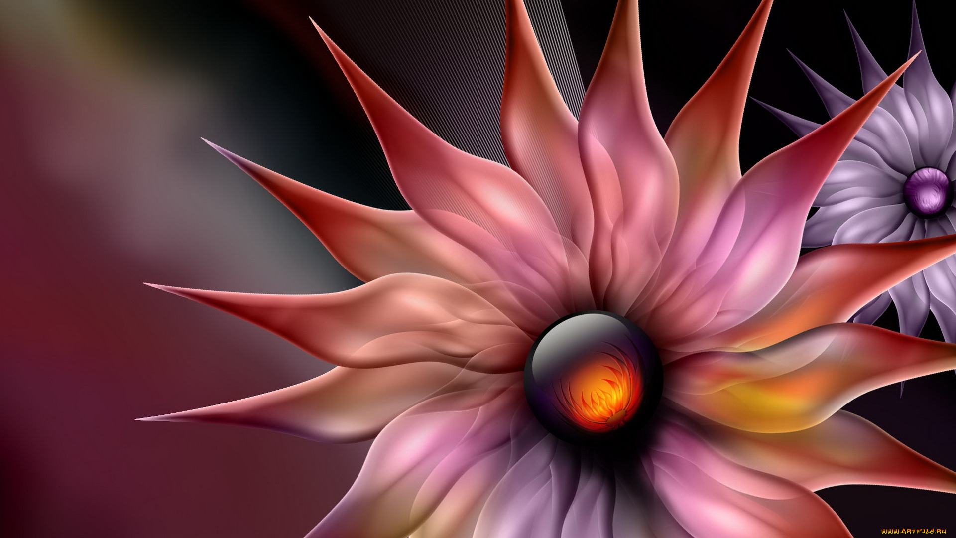 3д, графика, цветы, , flowers, узор, фон, цвета