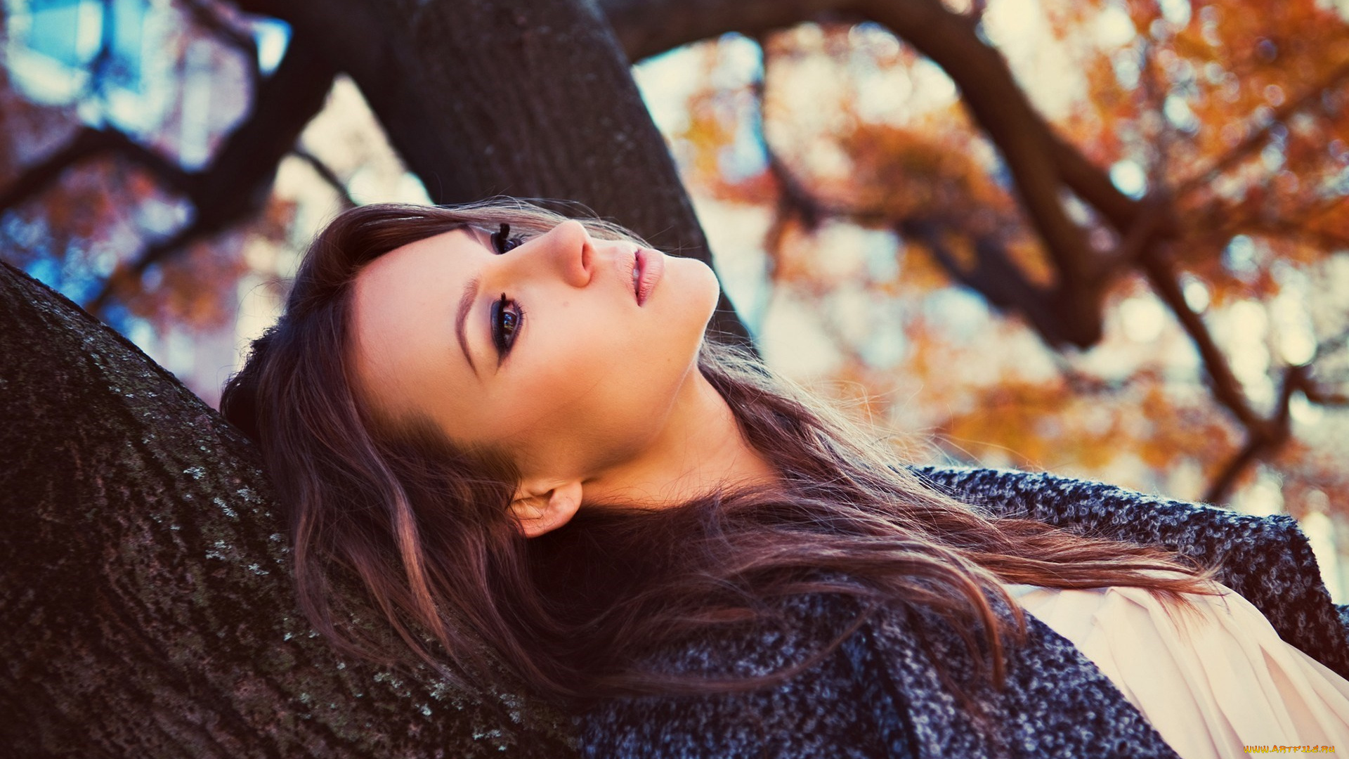 девушки, -unsort, , брюнетки, , шатенки, осень, пальто, дерево