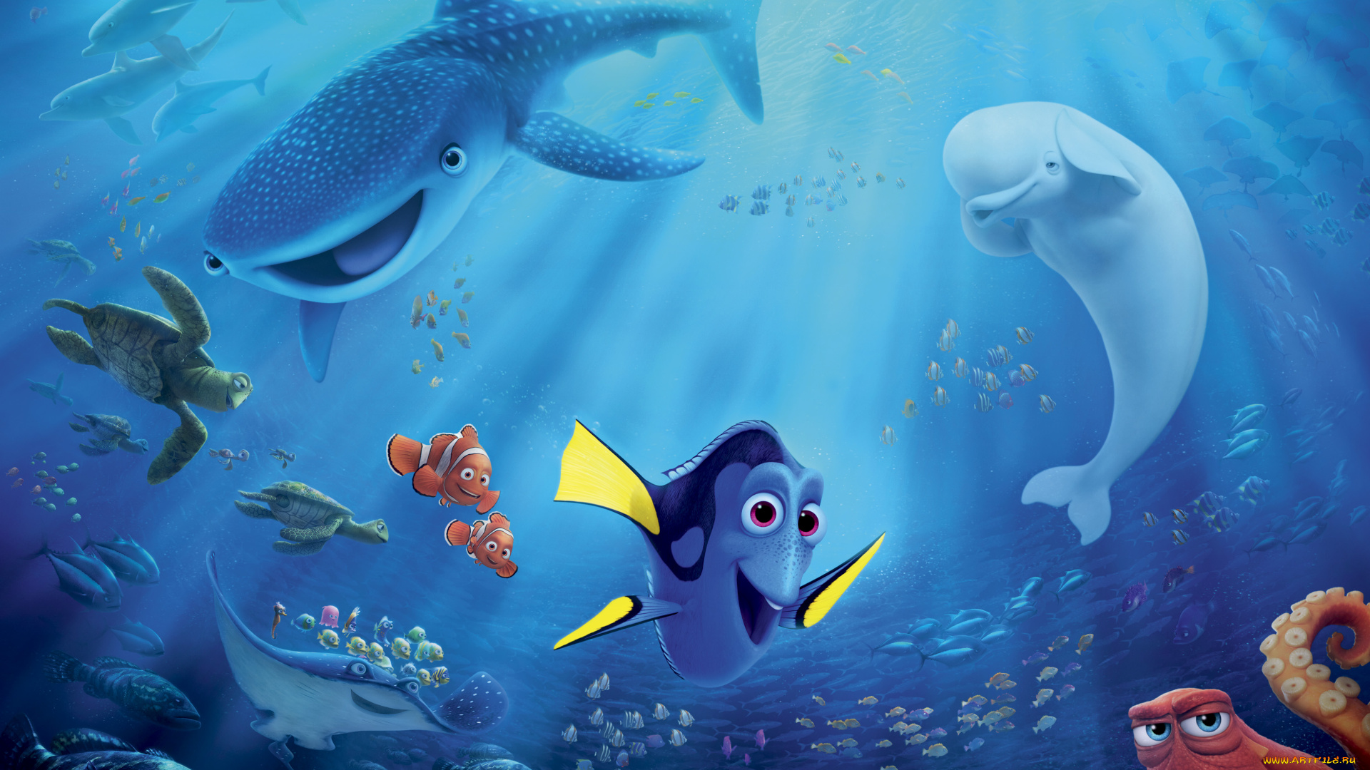 finding, dory, мультфильмы, персонаж