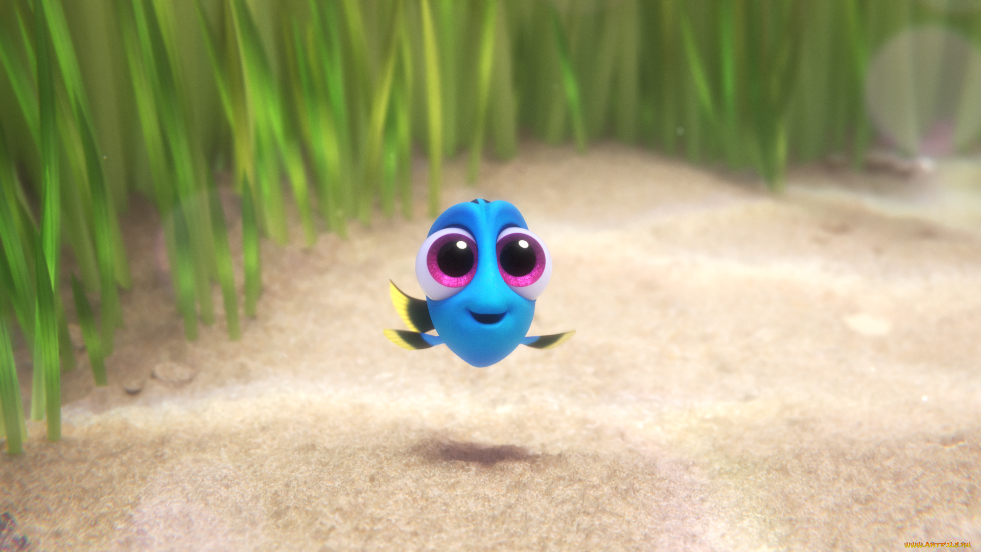 мультфильмы, finding, dory, персонаж