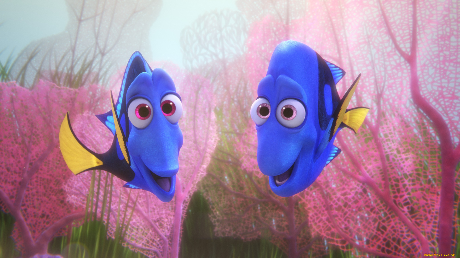 мультфильмы, finding, dory, персонаж