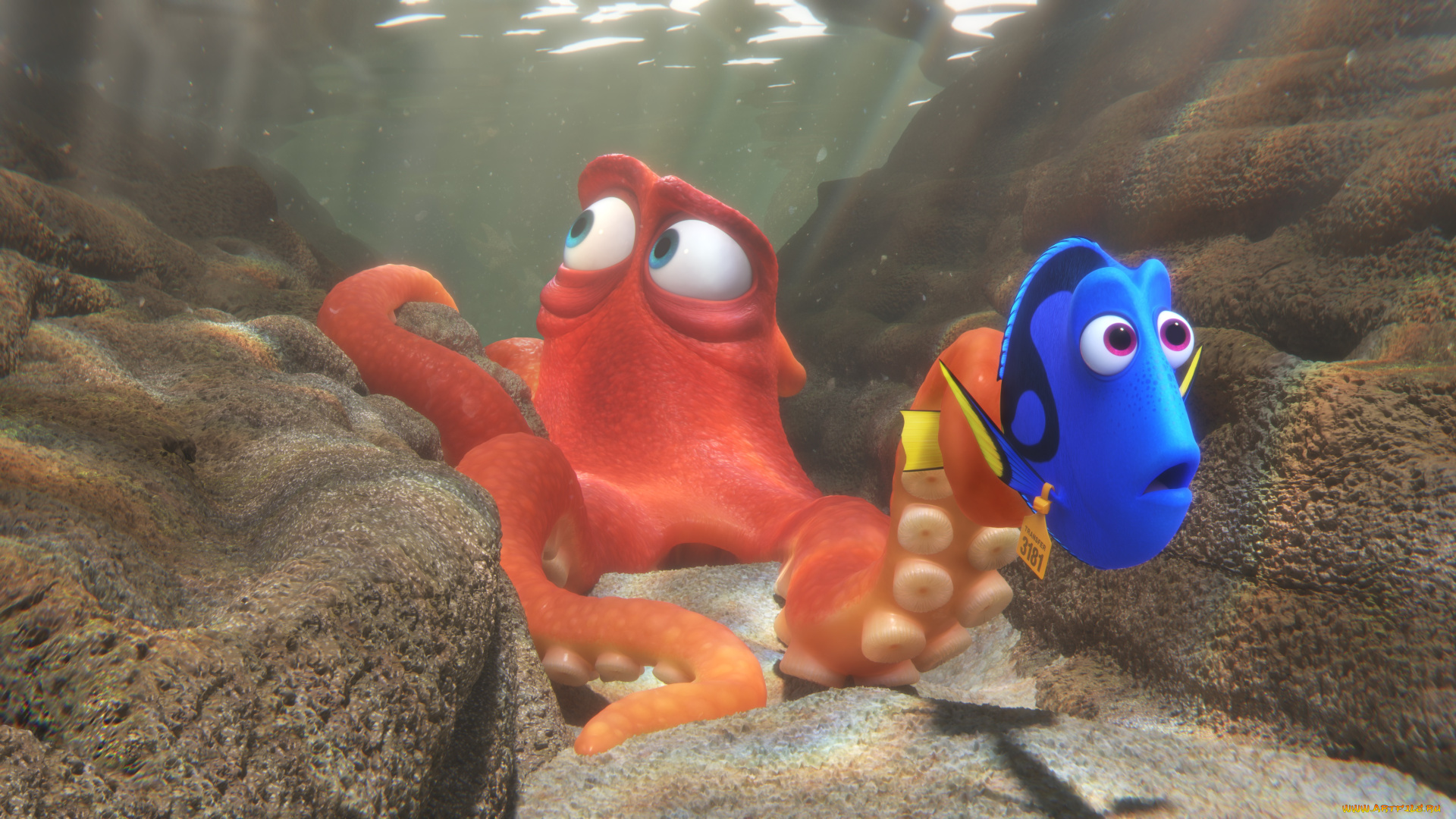 мультфильмы, finding, dory, персонаж