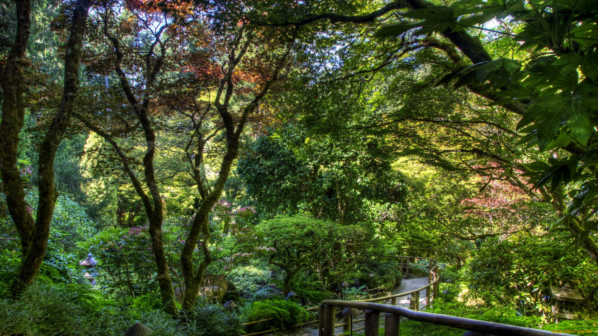 природа, парк, ступени, деревья