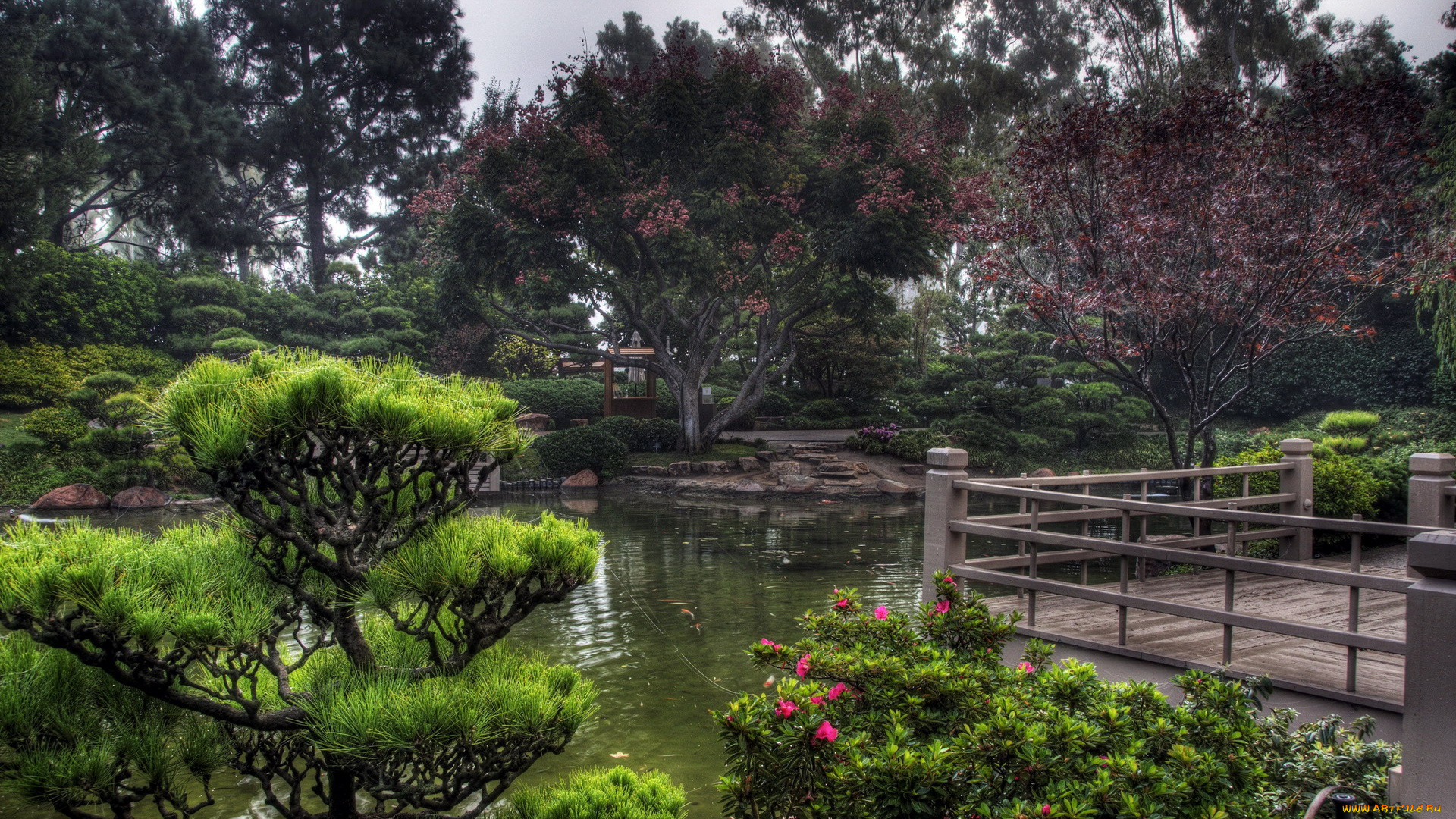 природа, парк, японский, сад