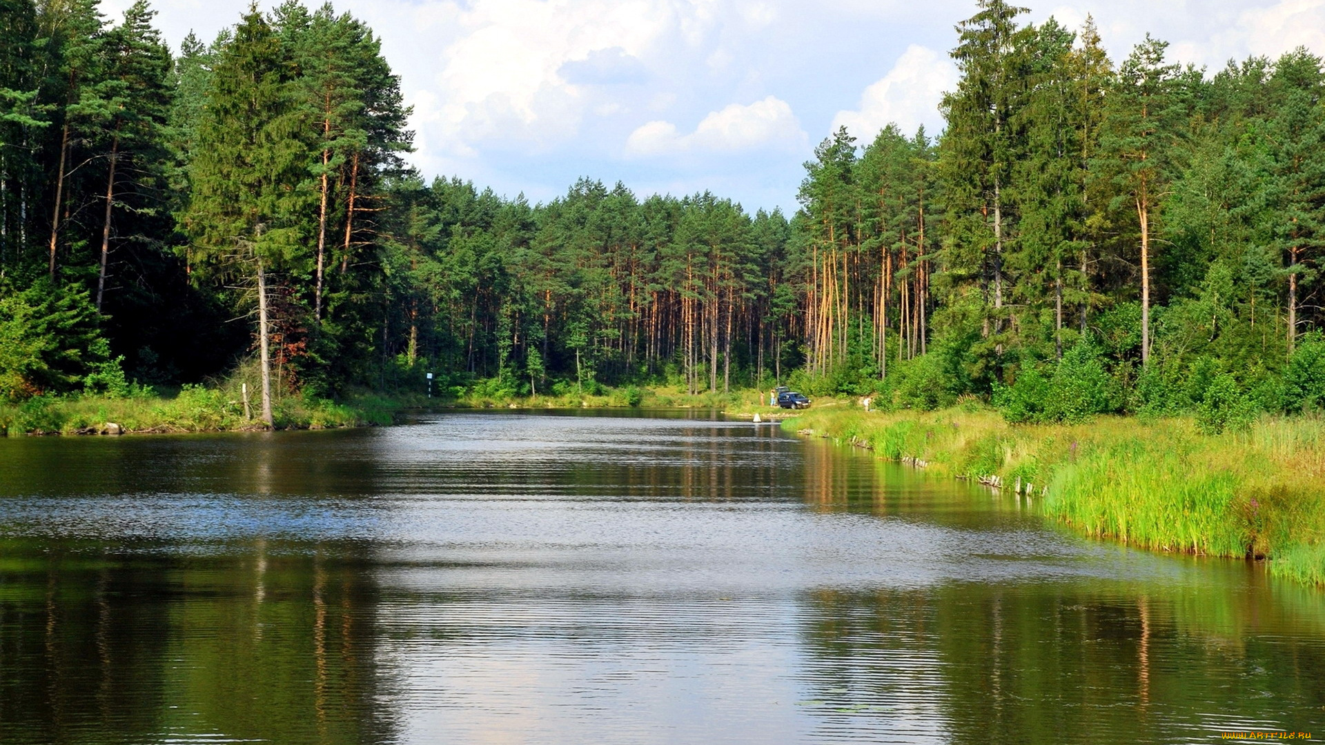 природа, реки, озера, вода, отдых, лето, тихий, уголок