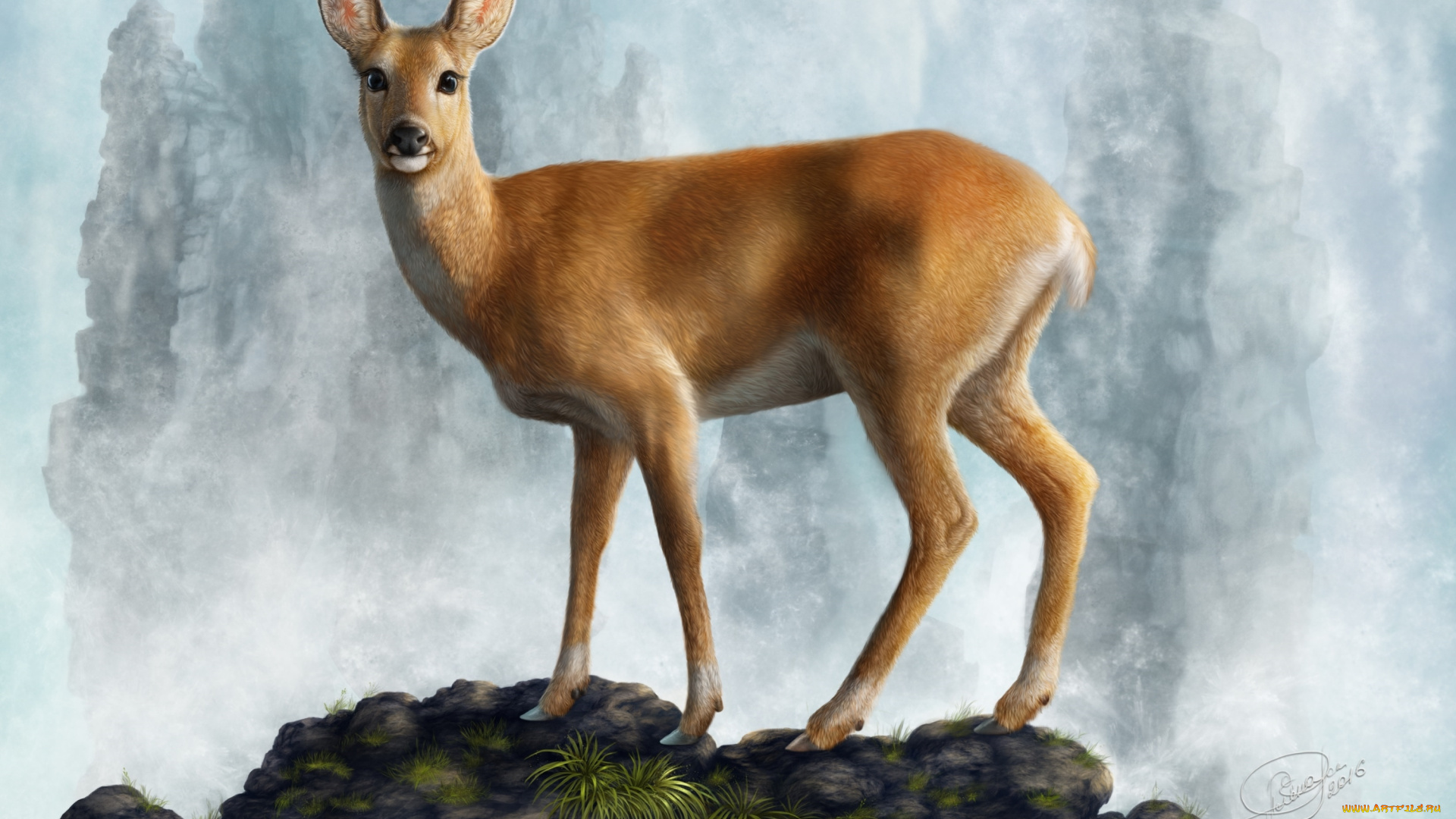 рисованное, животные, , олени, животное, вода, камни, косуля, олень