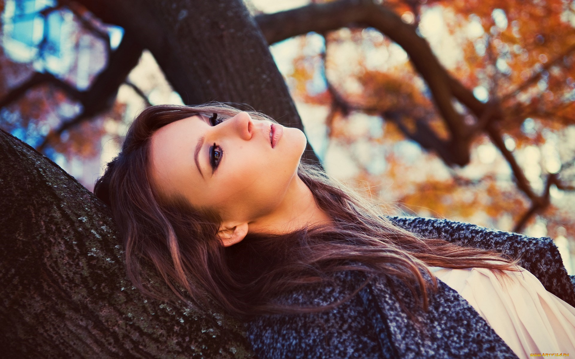 девушки, -unsort, , брюнетки, , шатенки, осень, пальто, дерево