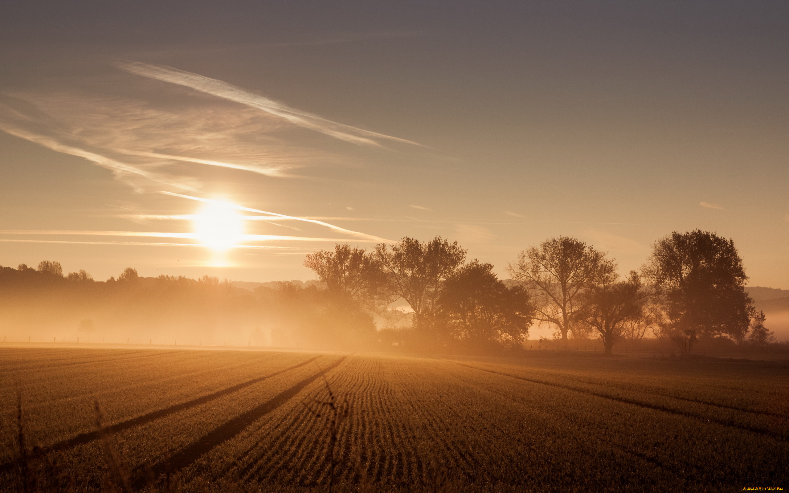 природа, восходы, закаты, поле, туман, утро