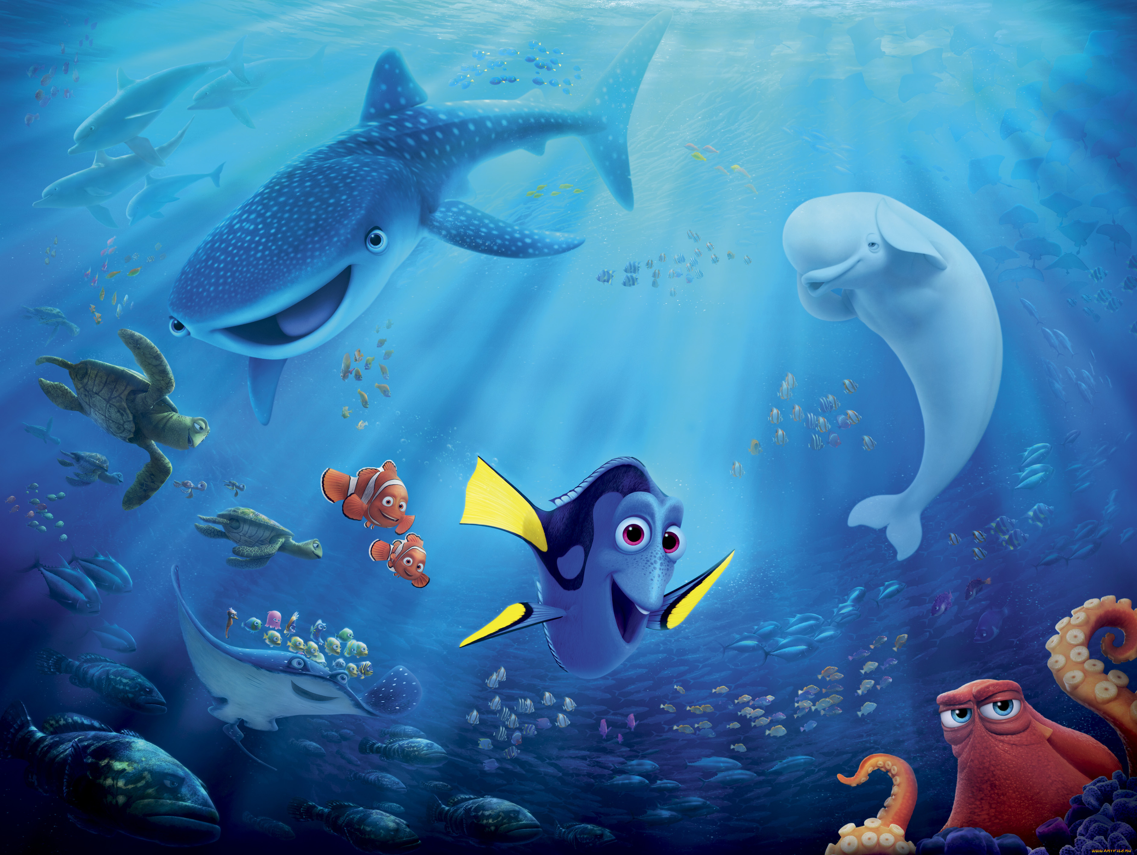 finding, dory, мультфильмы, персонаж
