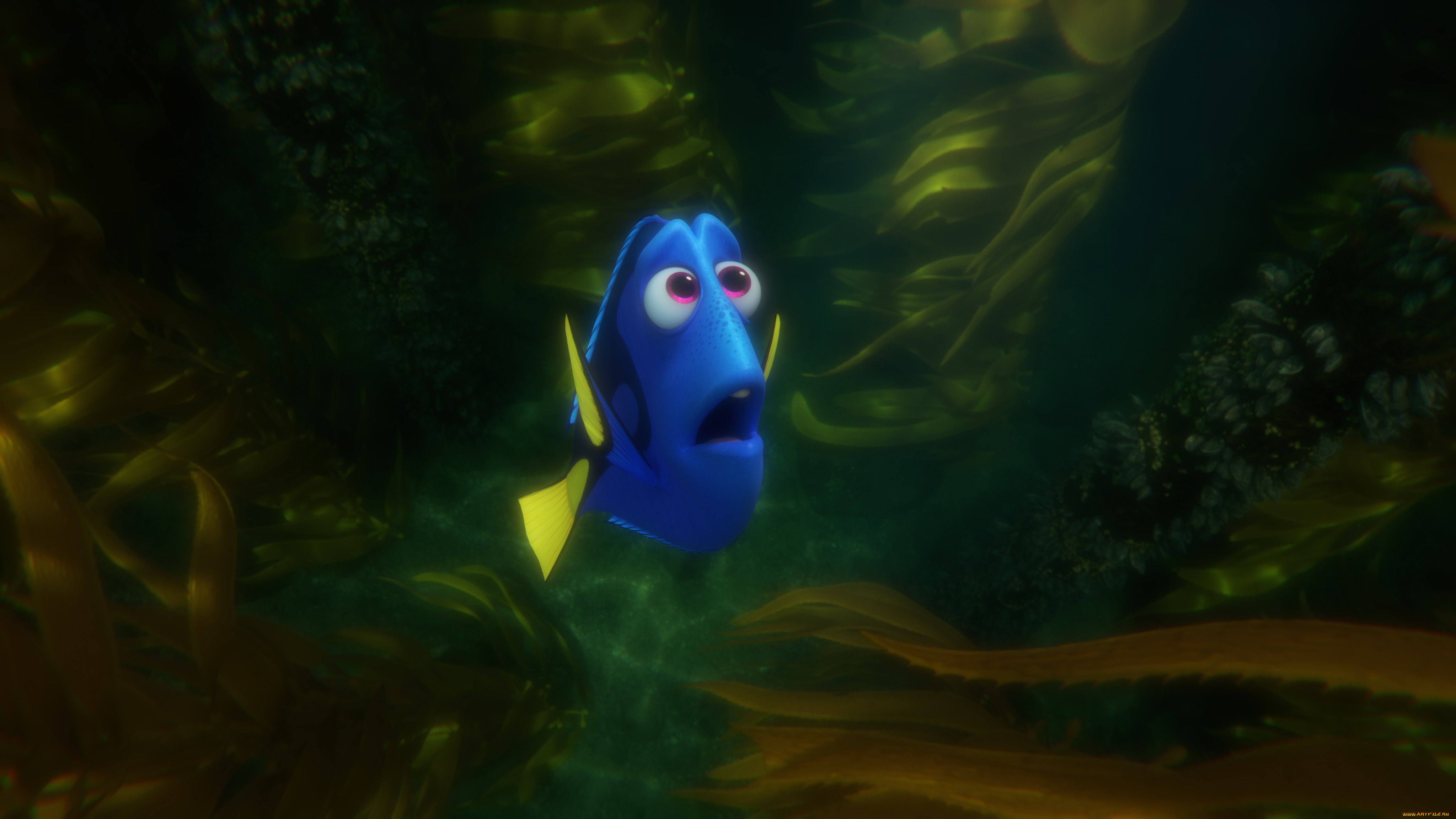 мультфильмы, finding, dory, персонаж