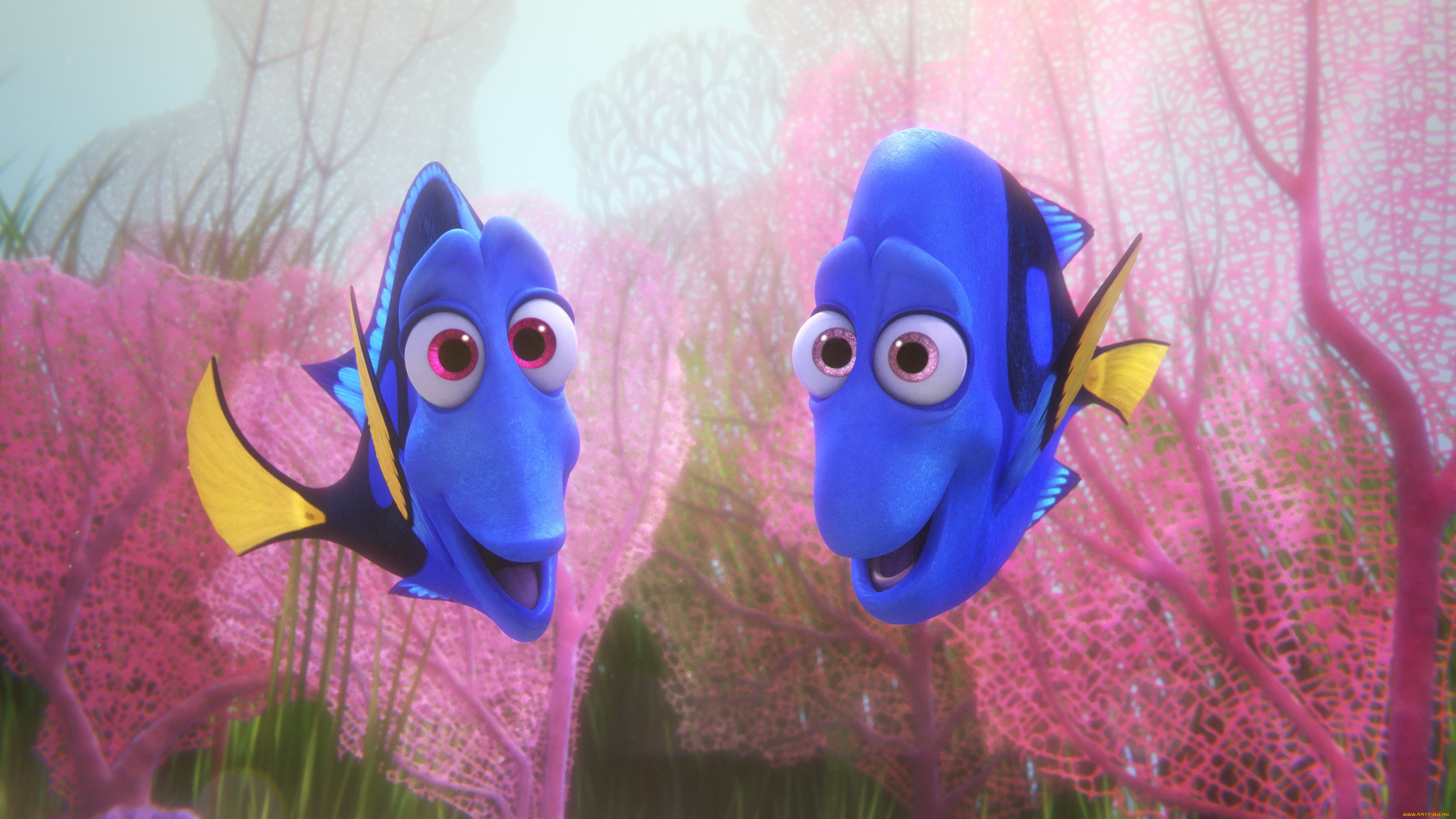 мультфильмы, finding, dory, персонаж