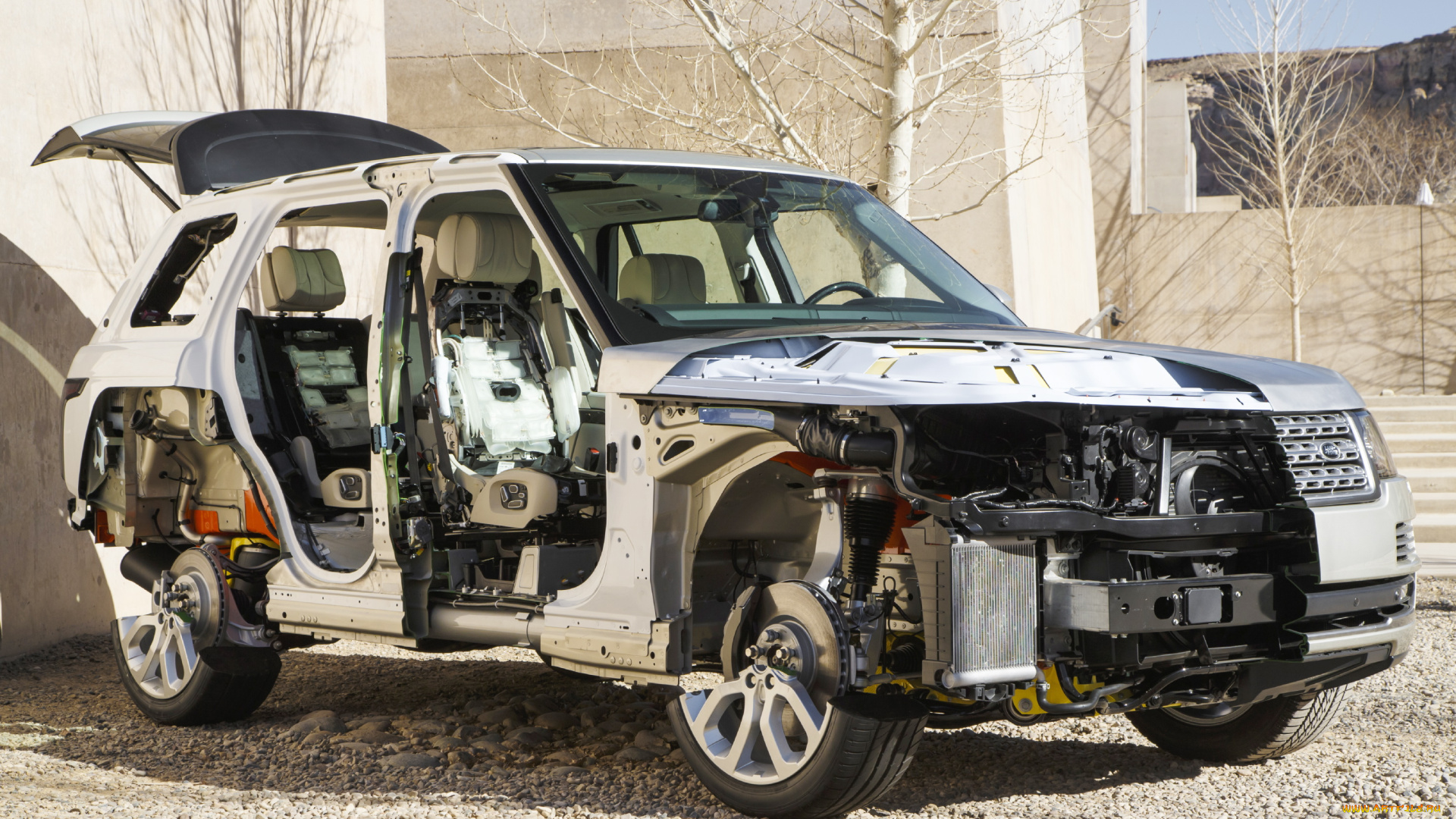 автомобили, рентген, car