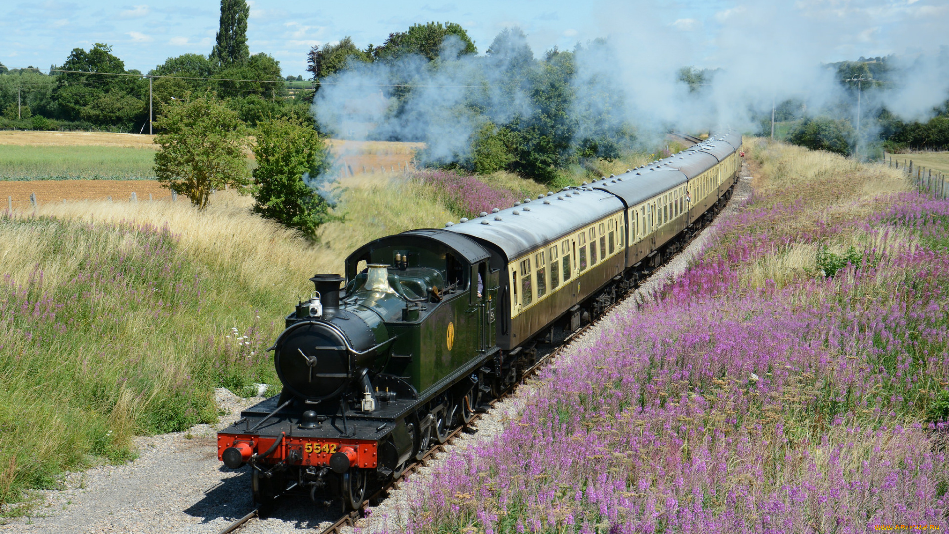 техника, паровозы, локомотив, состав