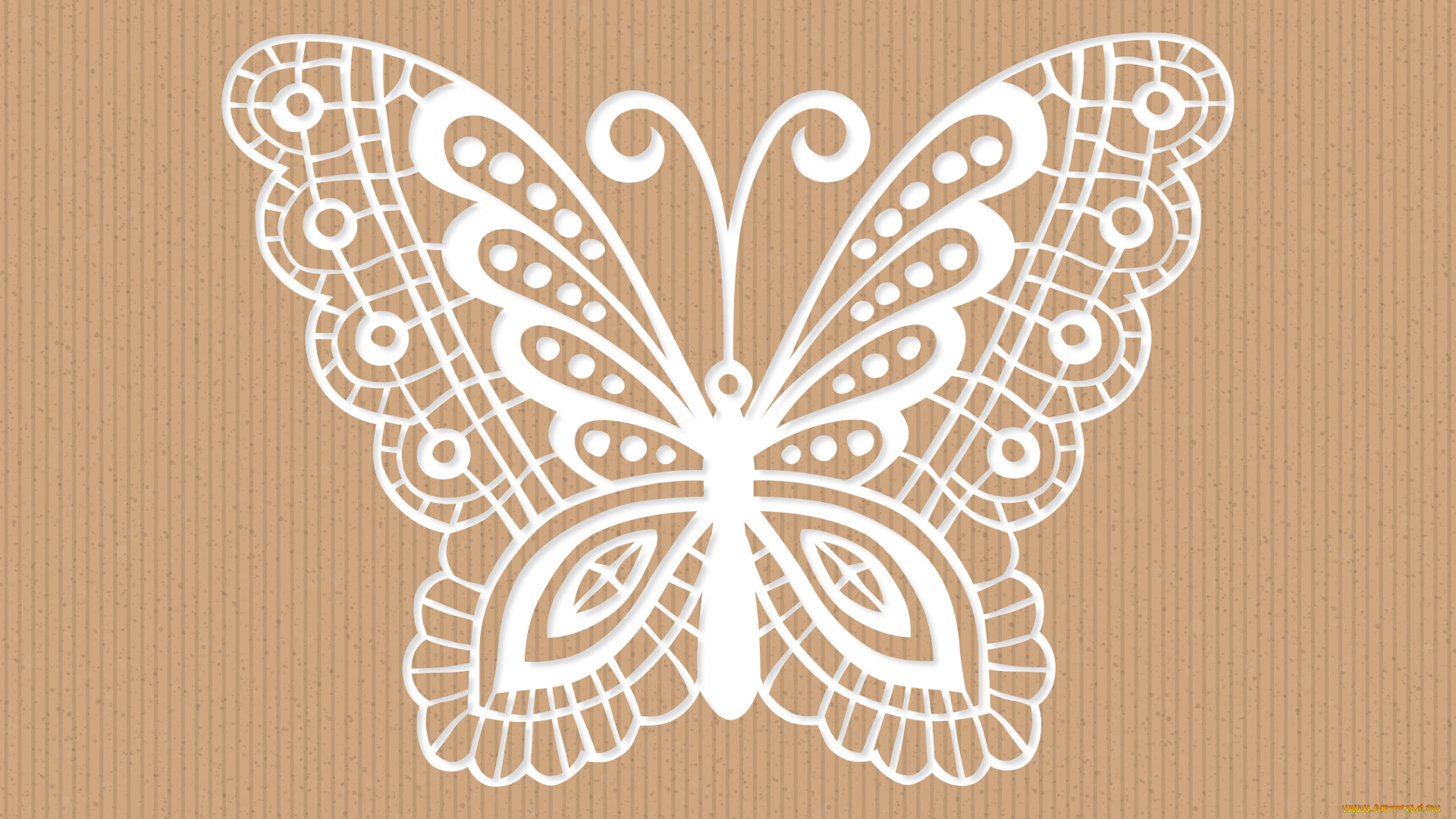 бабочка, векторная, графика, -графика, , graphics, вектор, абстракция, фон