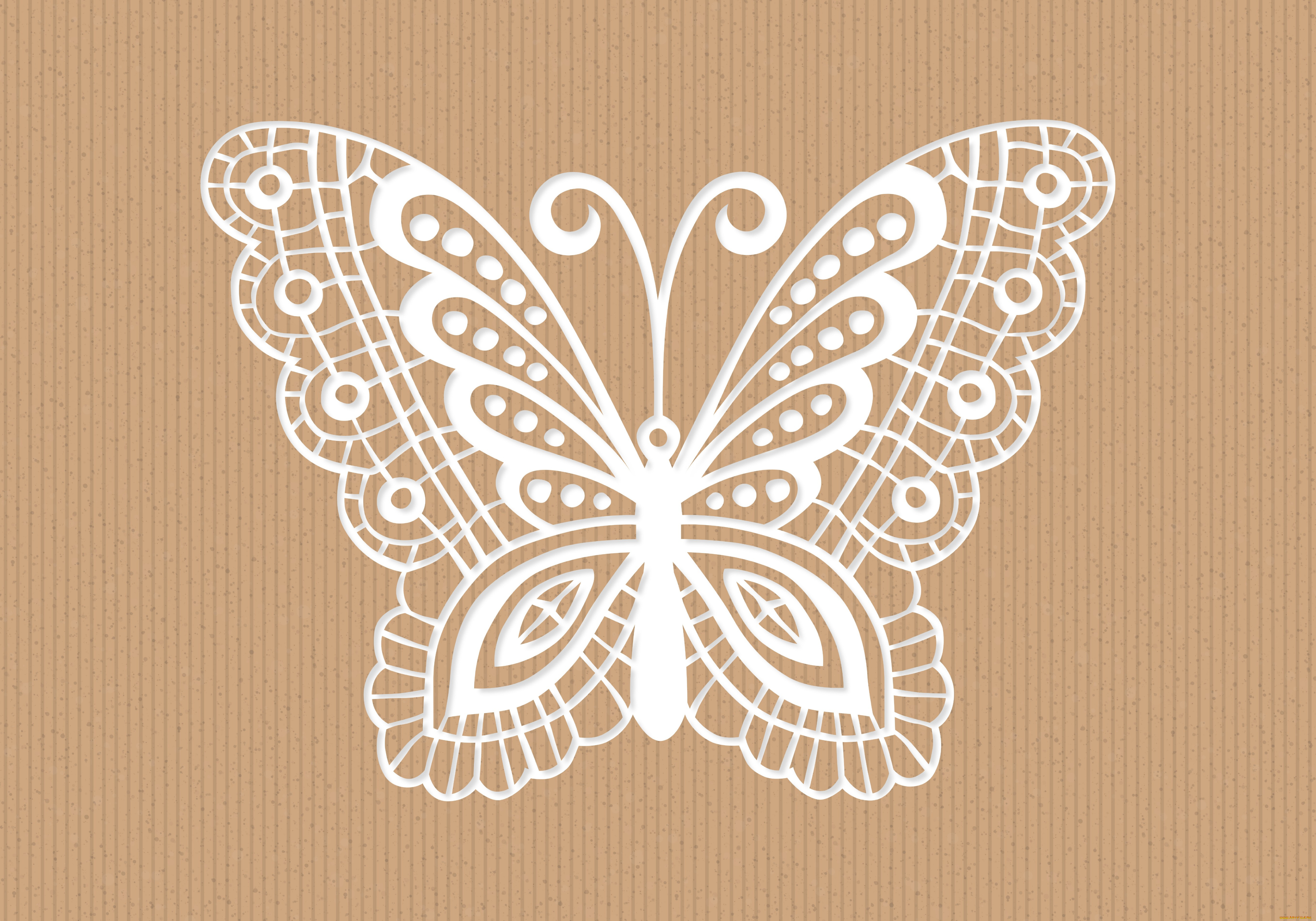 бабочка, векторная, графика, -графика, , graphics, вектор, абстракция, фон