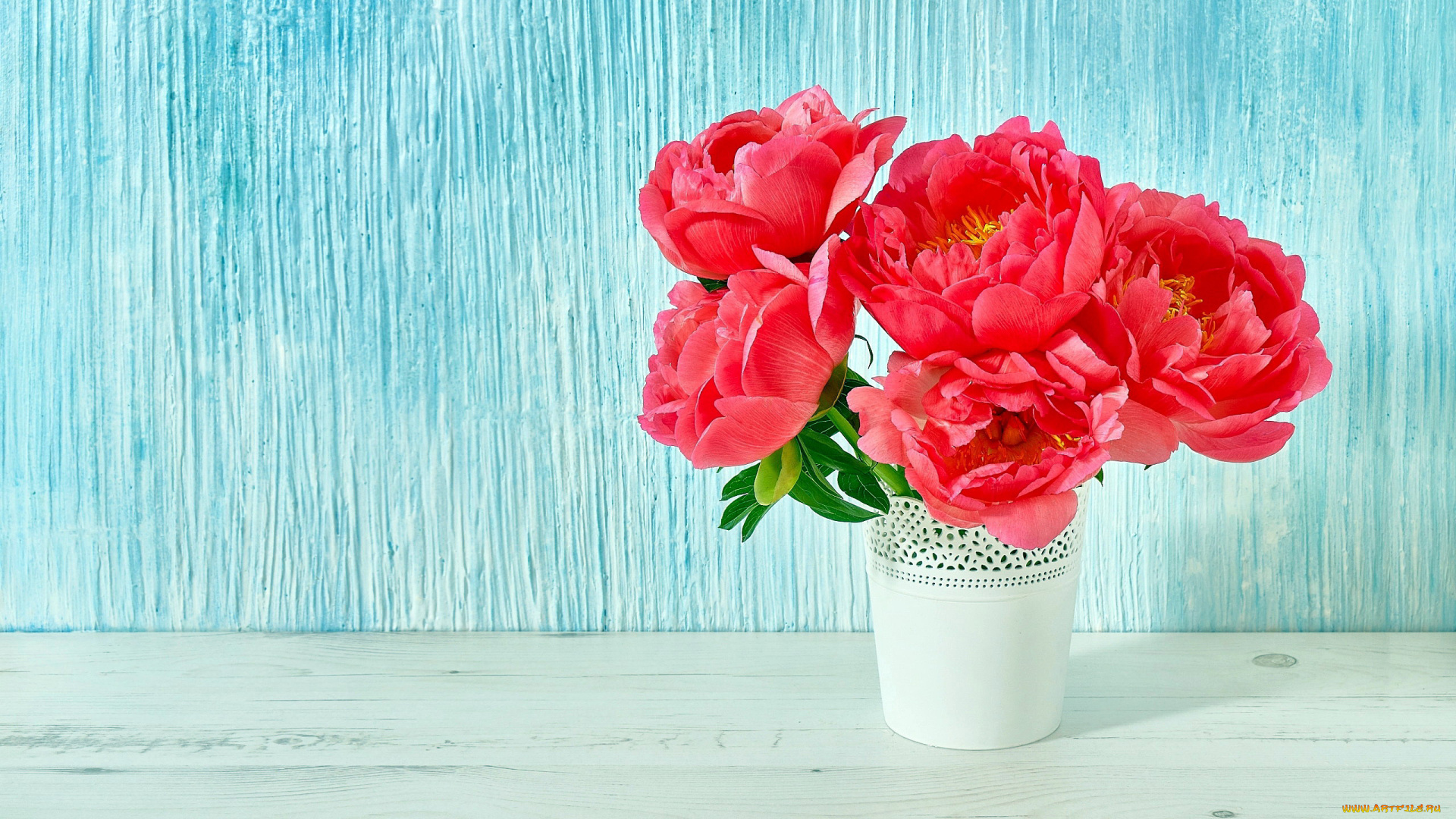 цветы, пионы, букет, ваза