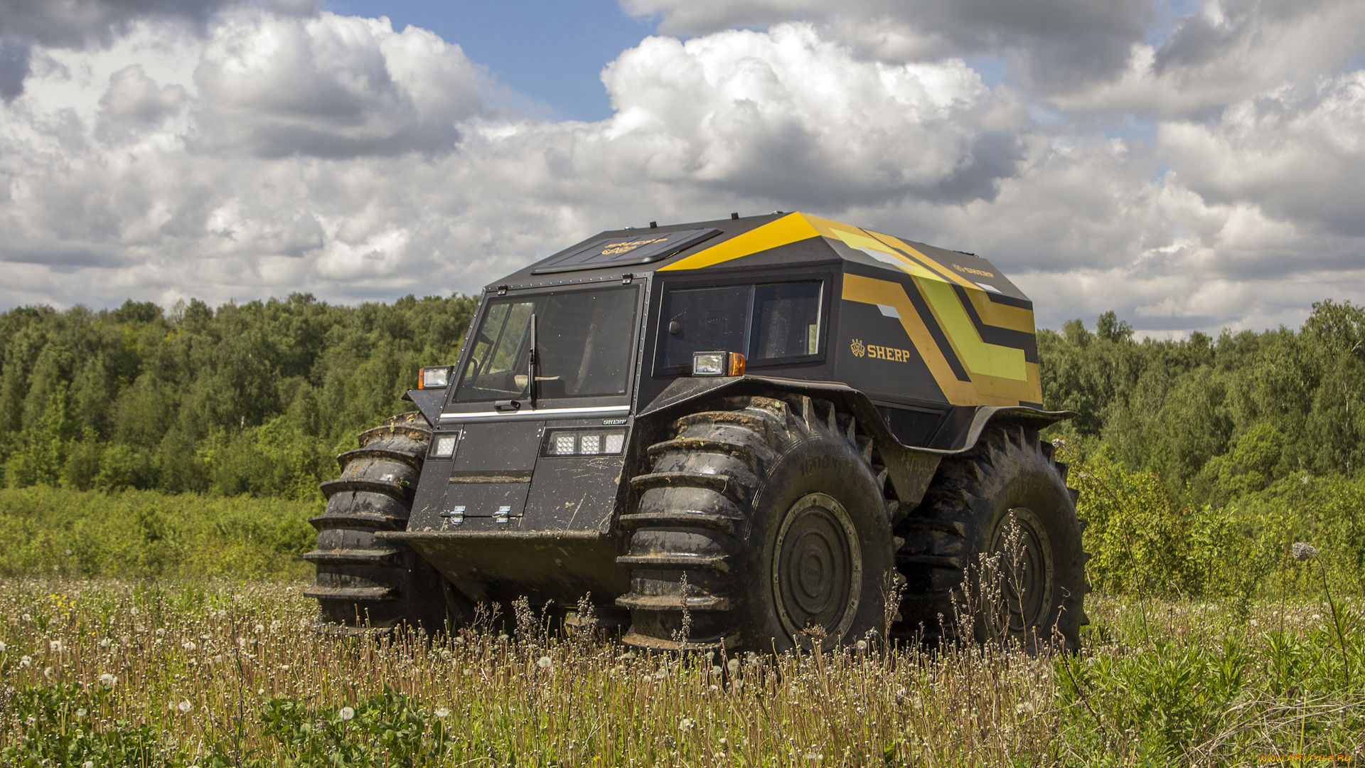 sherp, техника, другое, транспорт, вездеход, природа