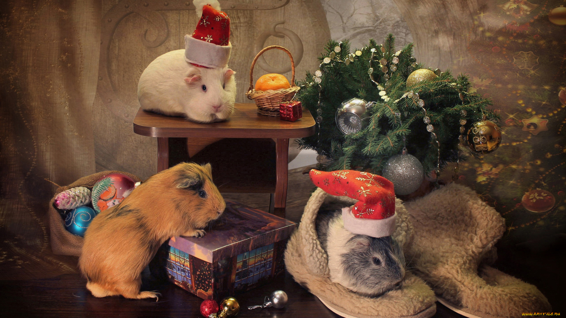 животные, морские, свинки, , хомяки, шары, подарок, украшения, шарики, морские, свинки, игрушки, грызуны