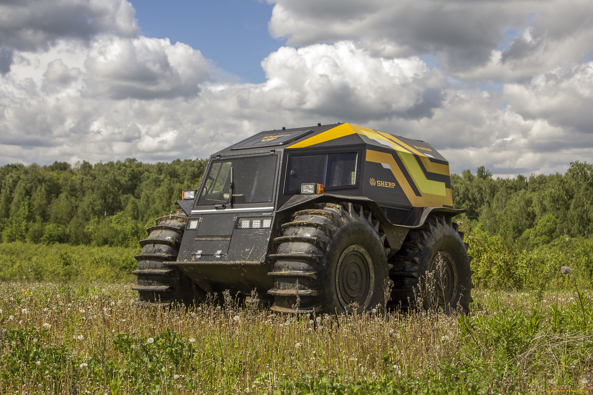 sherp, техника, другое, транспорт, вездеход, природа