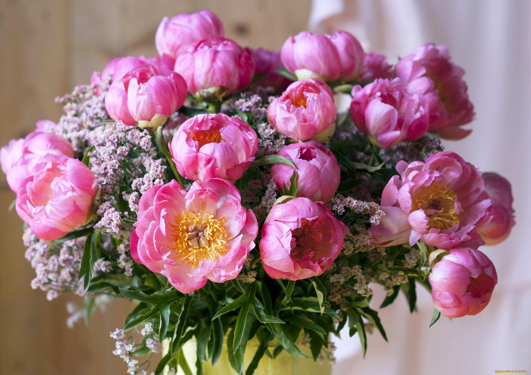 цветы, пионы