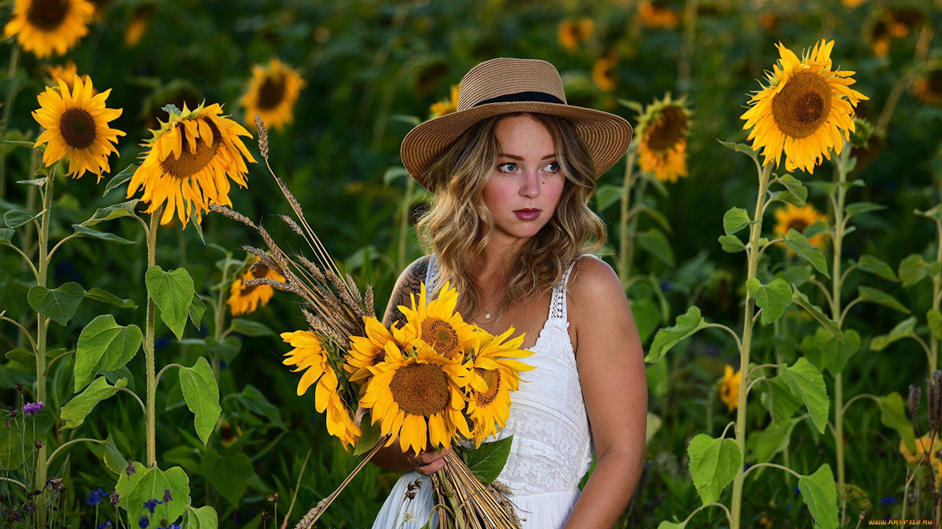 девушки, -, блондинки, , светловолосые, поле, подсолнухи, шляпа