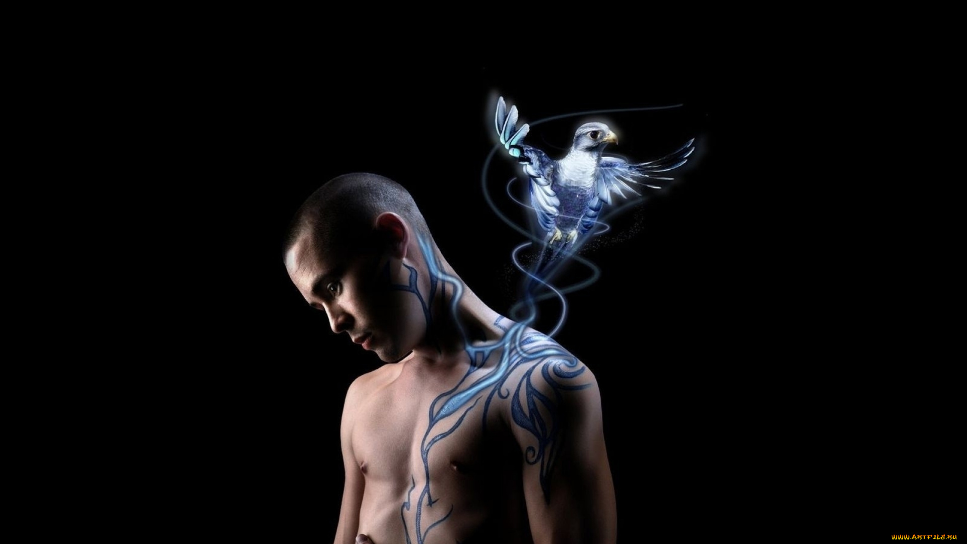 разное, компьютерный, дизайн, парень, рисунок, сокол, птица