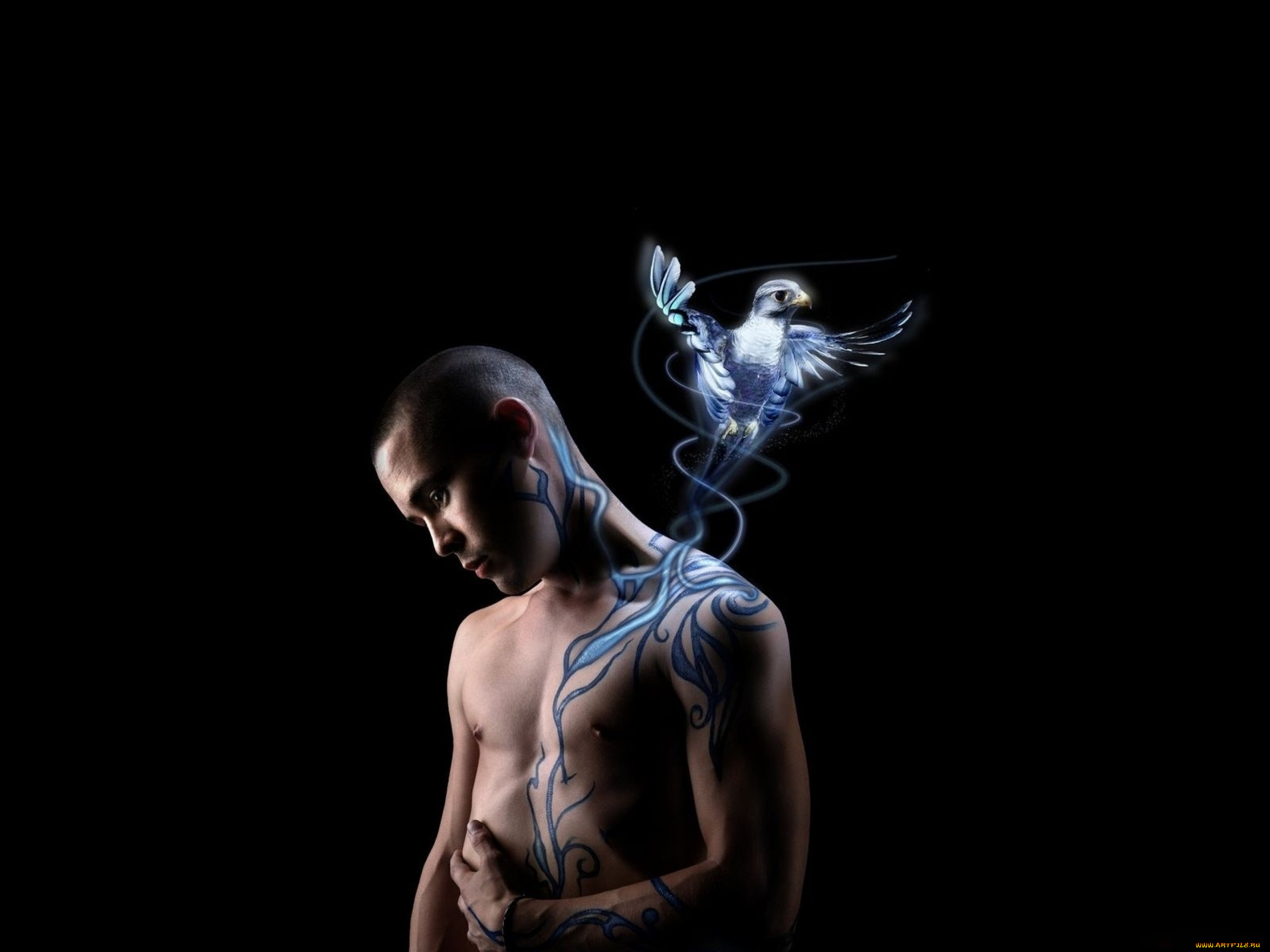 разное, компьютерный, дизайн, парень, рисунок, сокол, птица