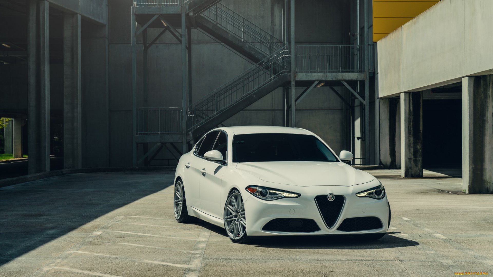 автомобили, alfa, romeo, white, alfa, romeo, giulia