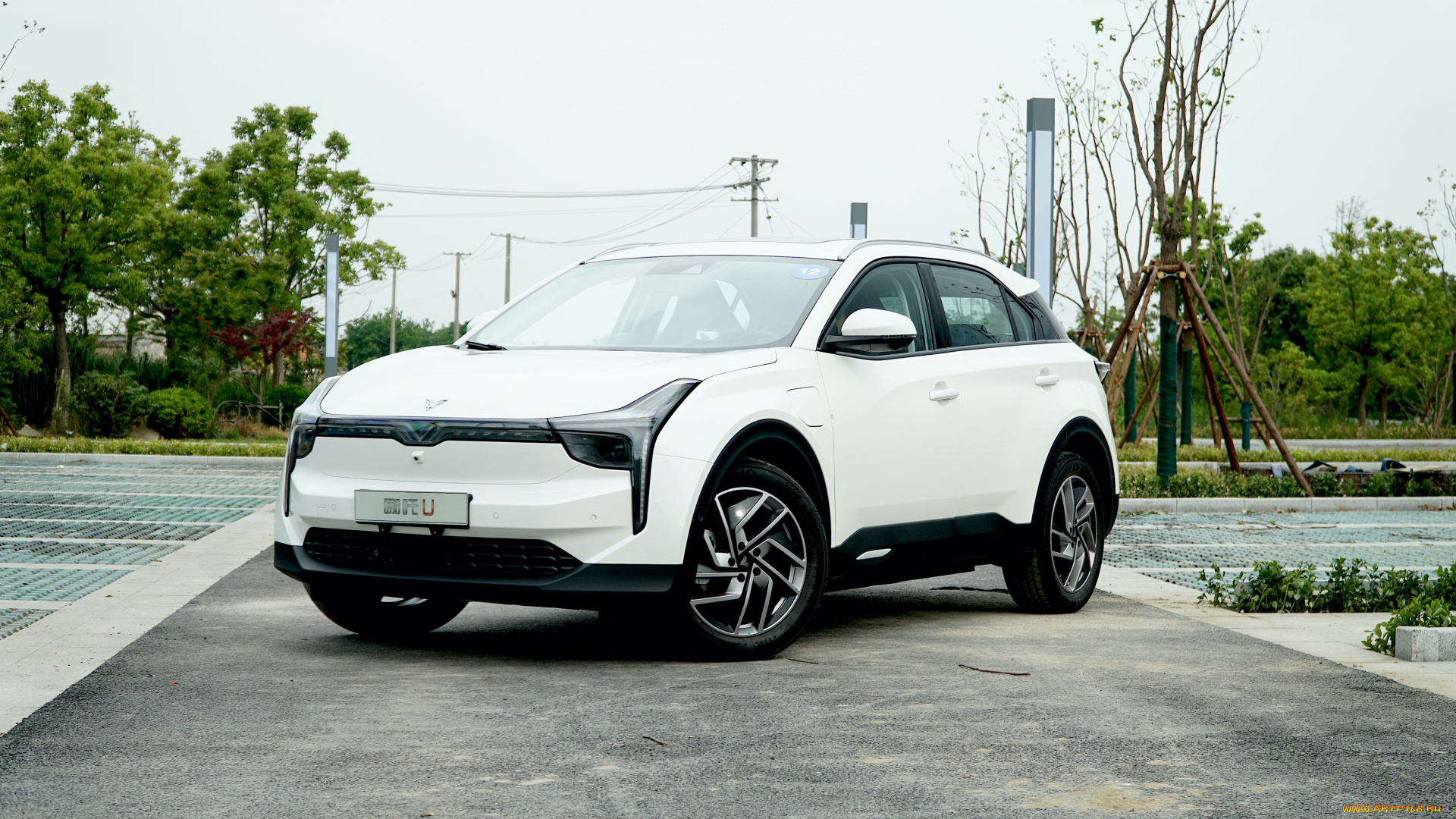 автомобили, hozon