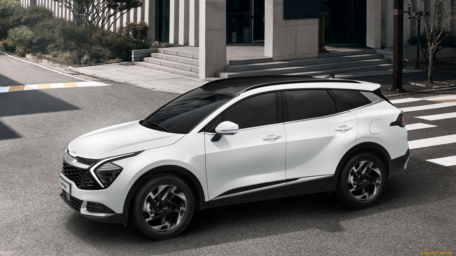 автомобили, kia