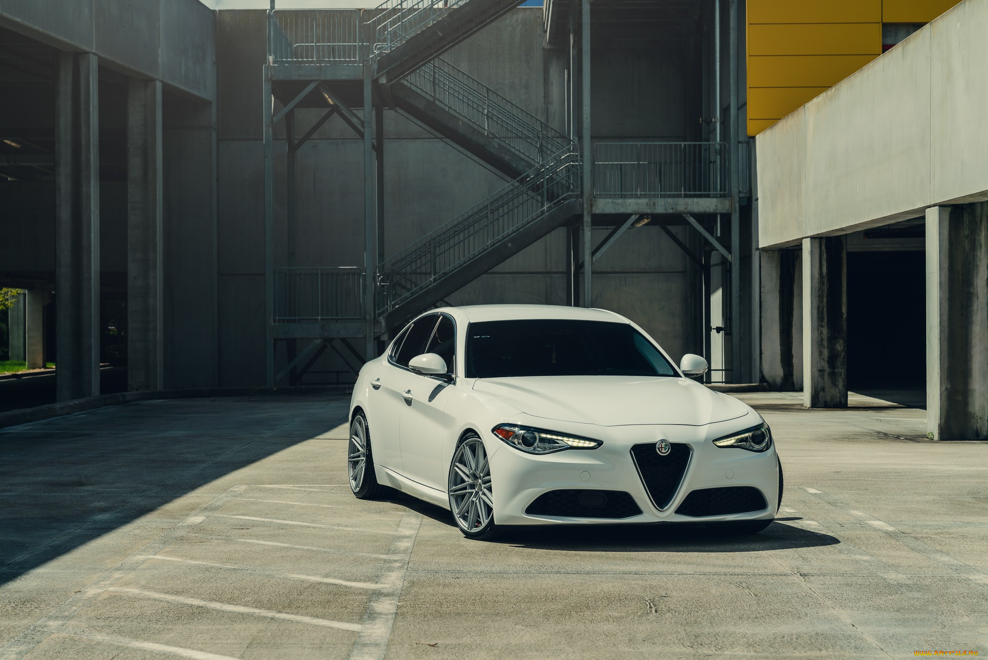 автомобили, alfa, romeo, white, alfa, romeo, giulia