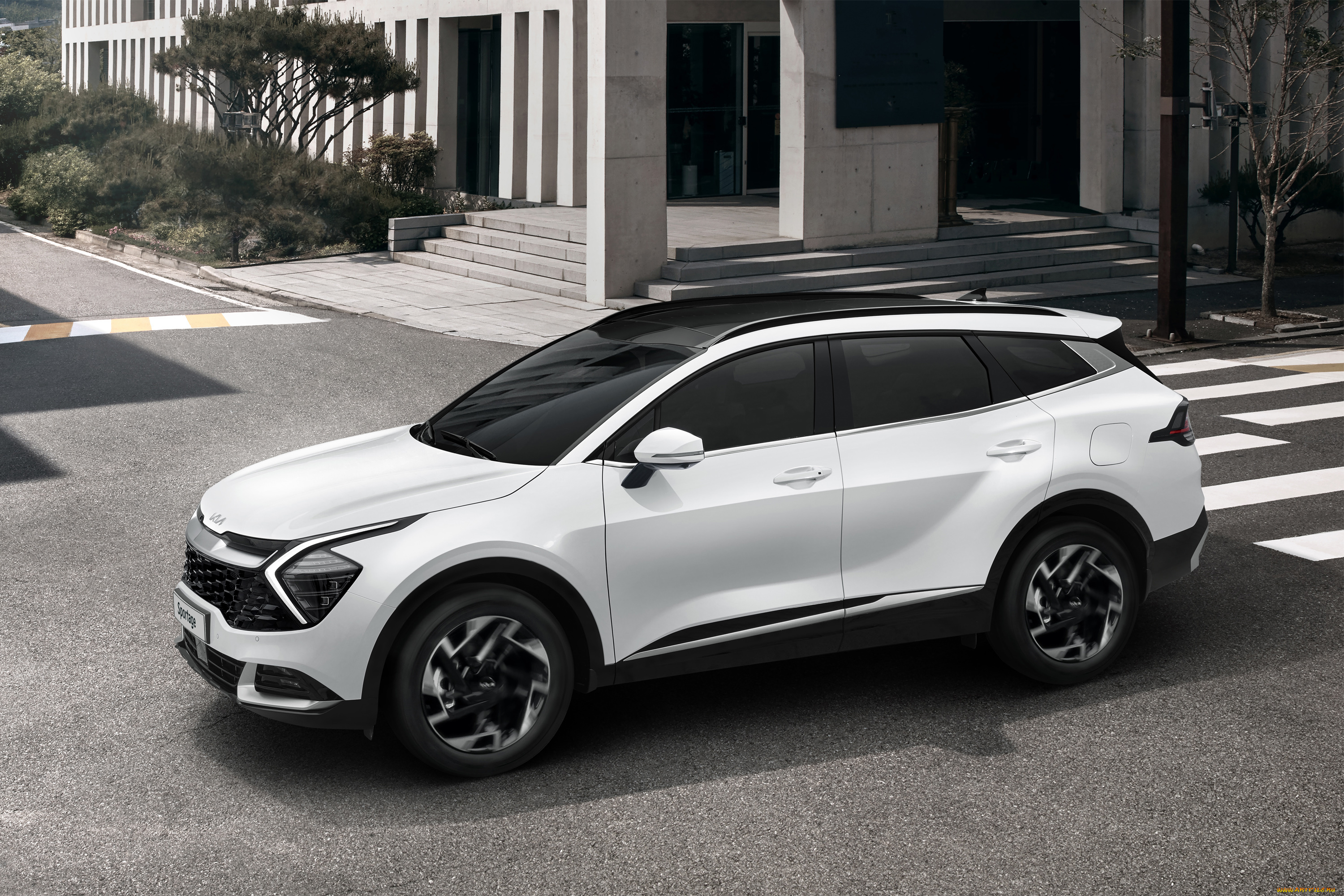 автомобили, kia