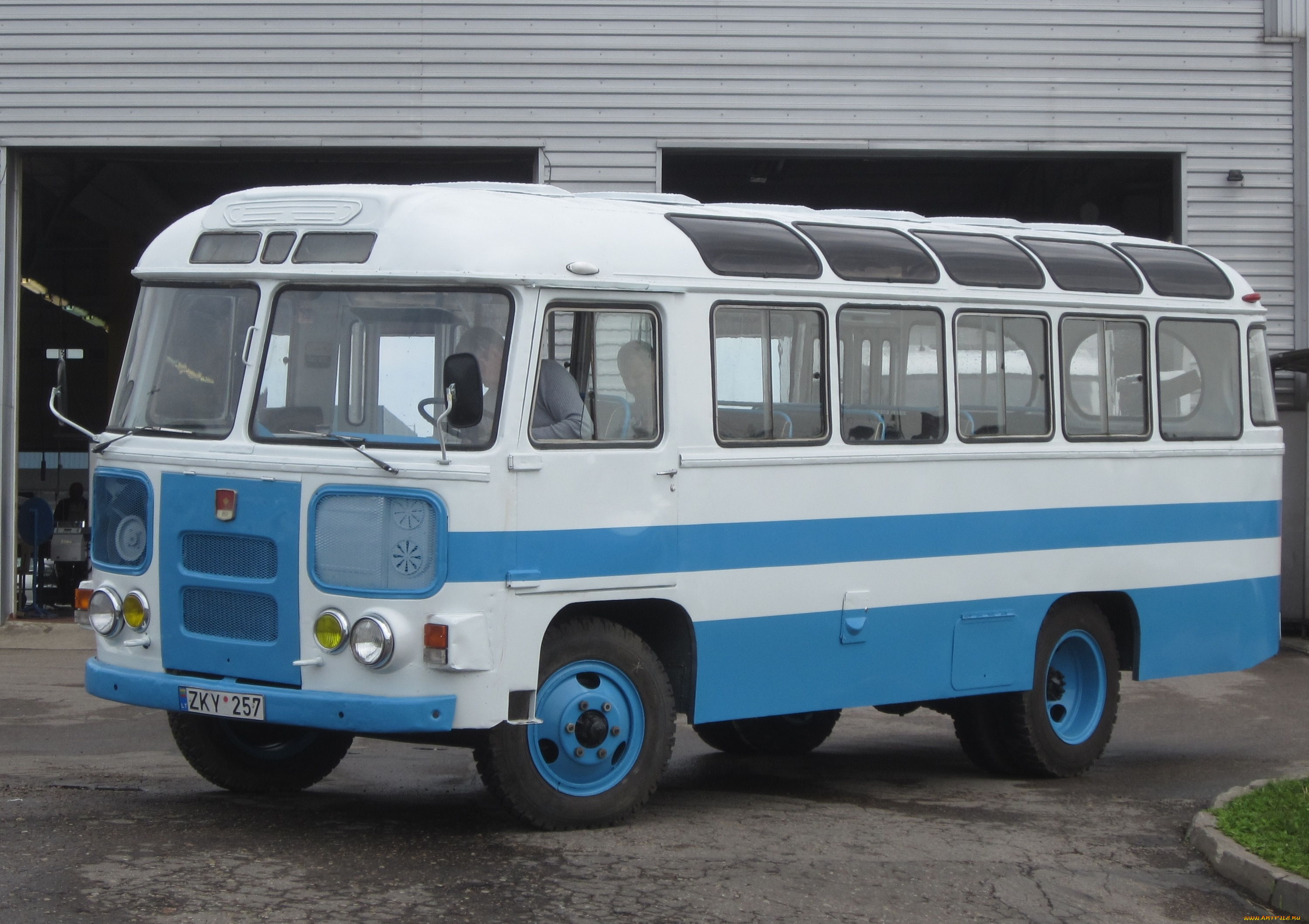 автомобили, автобусы, паз-, 672, автобус, ретро