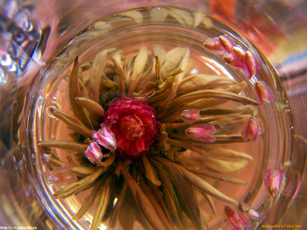 травяной, чай, еда, напитки, Чай